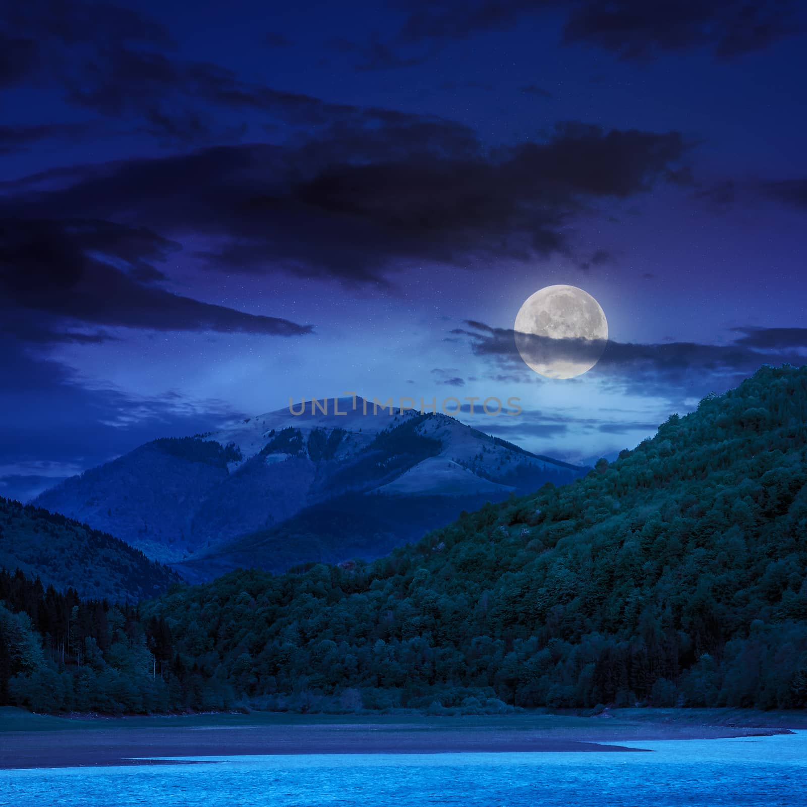 view on lake shore near the forest on mountain background at night in moon light