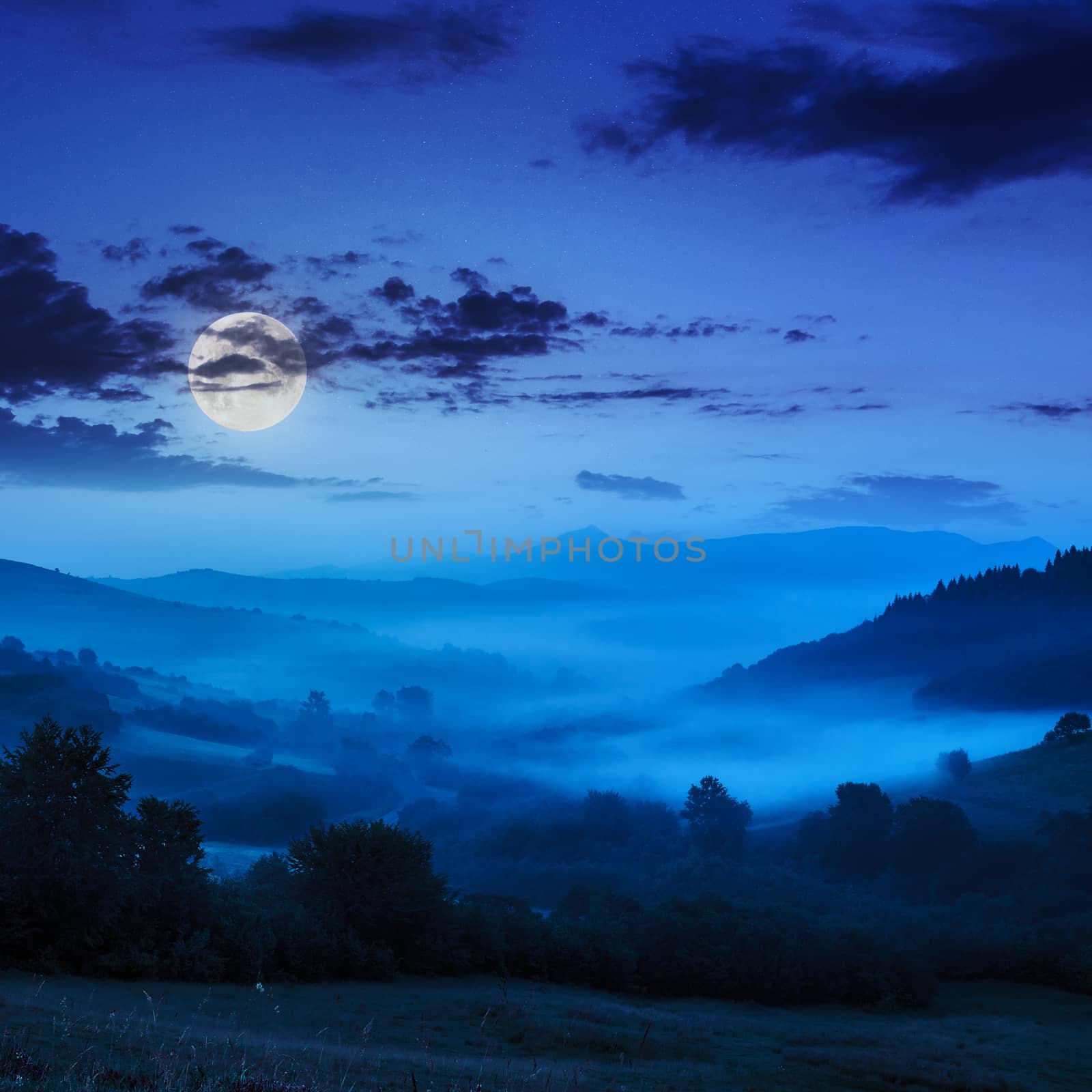 cold night fog in moon light in the mountains