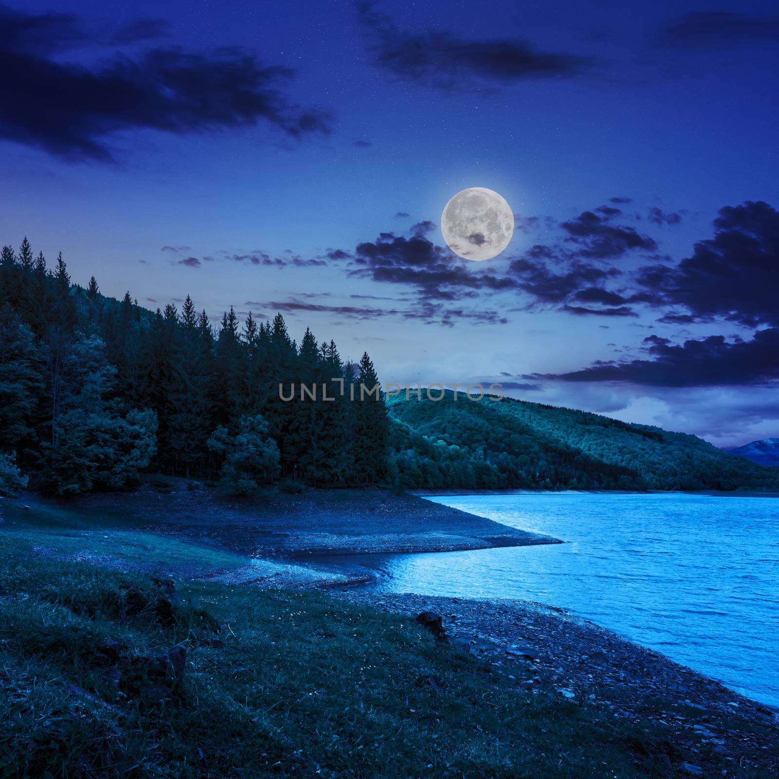 view on lake near the forest with some  pine treesat night on mountain background in moon light