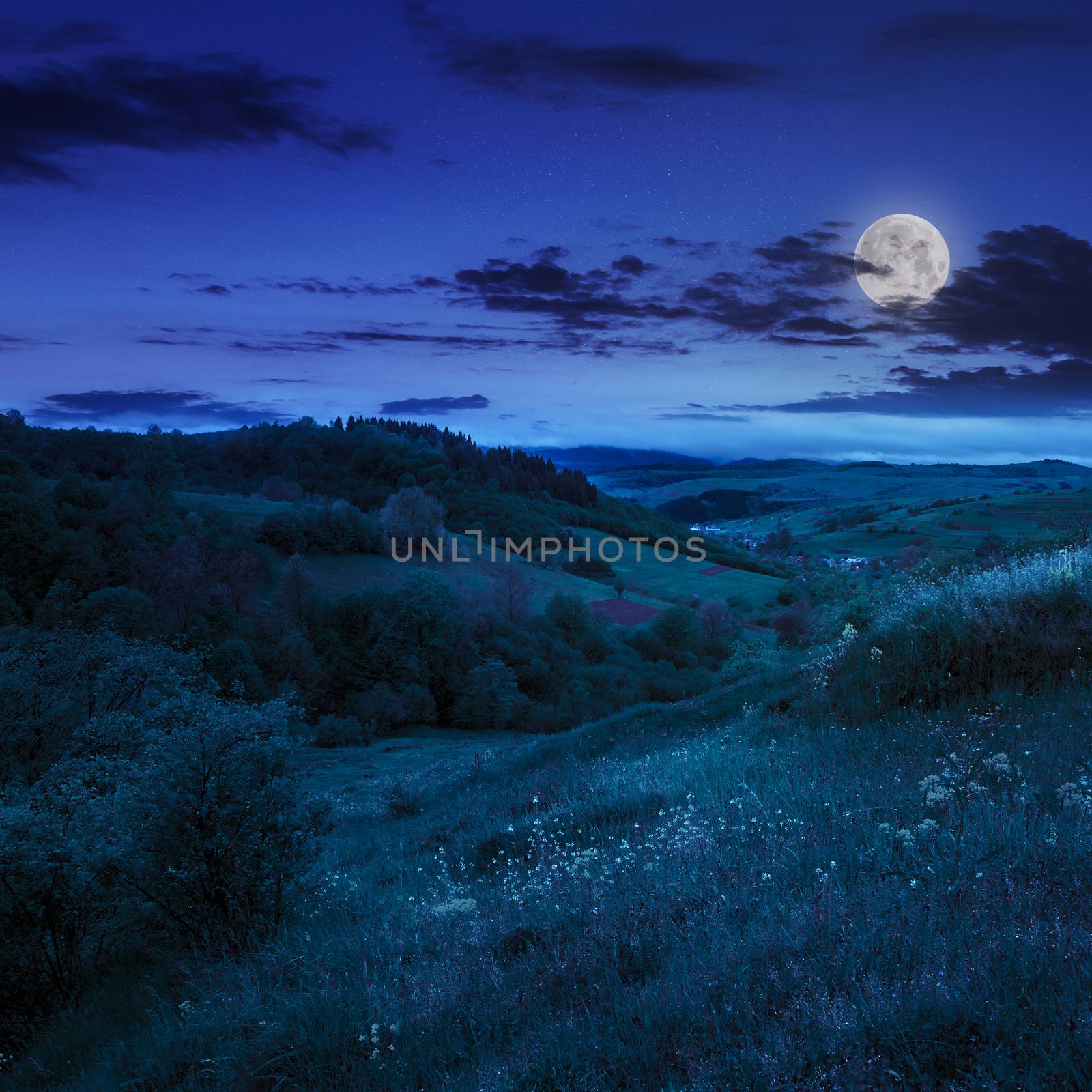 trees in mountains  on hillside  near village at night by Pellinni