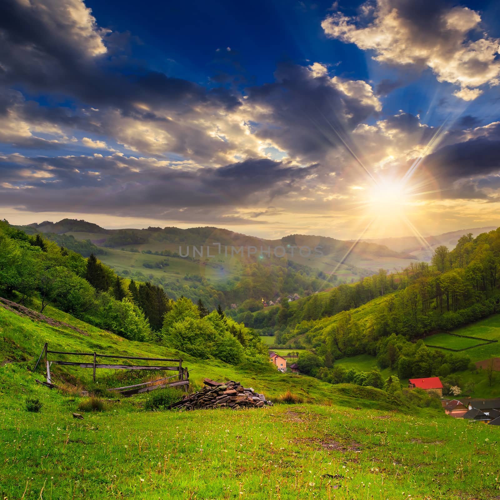 mountain summer landscape. trees and fence near meadow on hillside under  sky with clouds at sunset