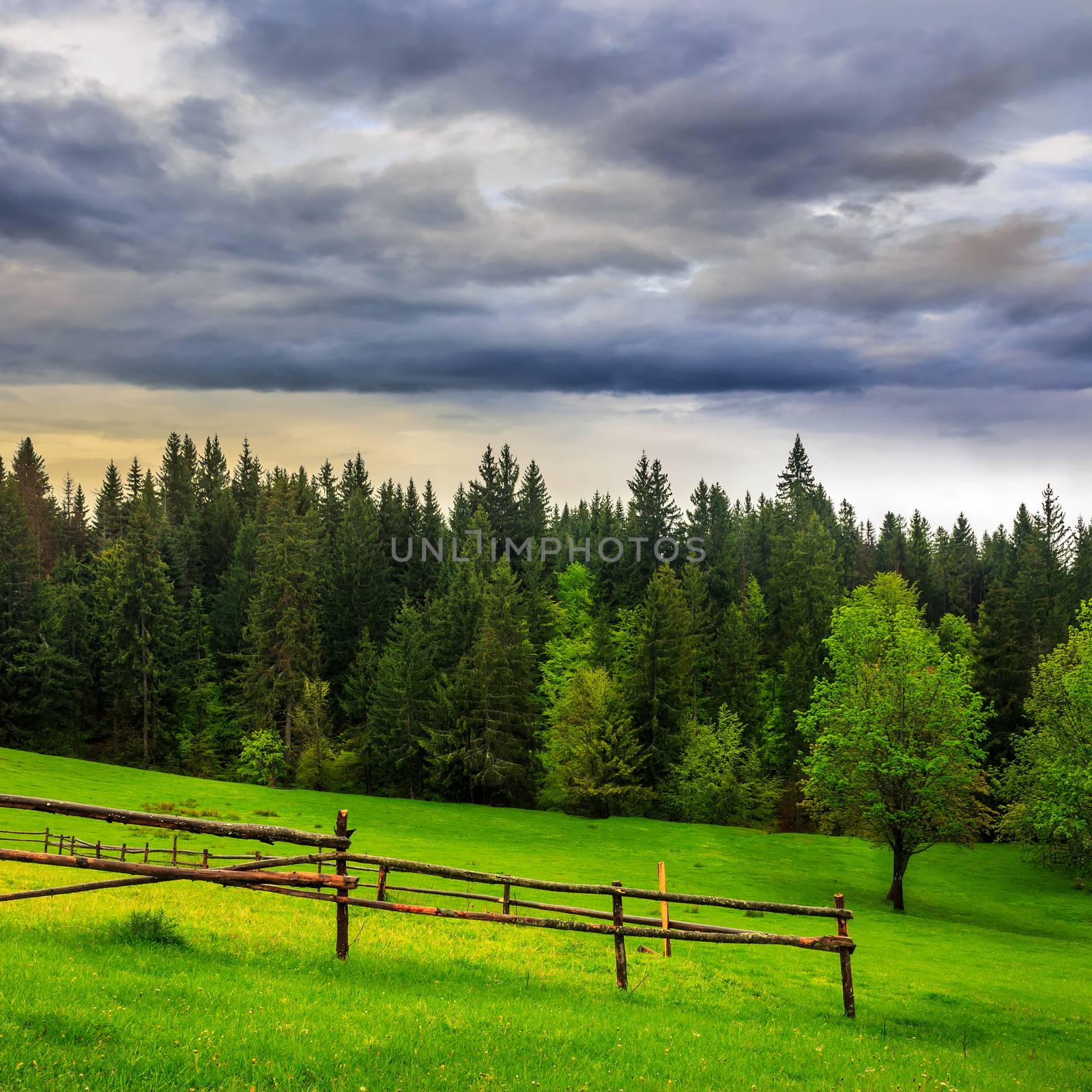fence on hillside meadow in mountain by Pellinni