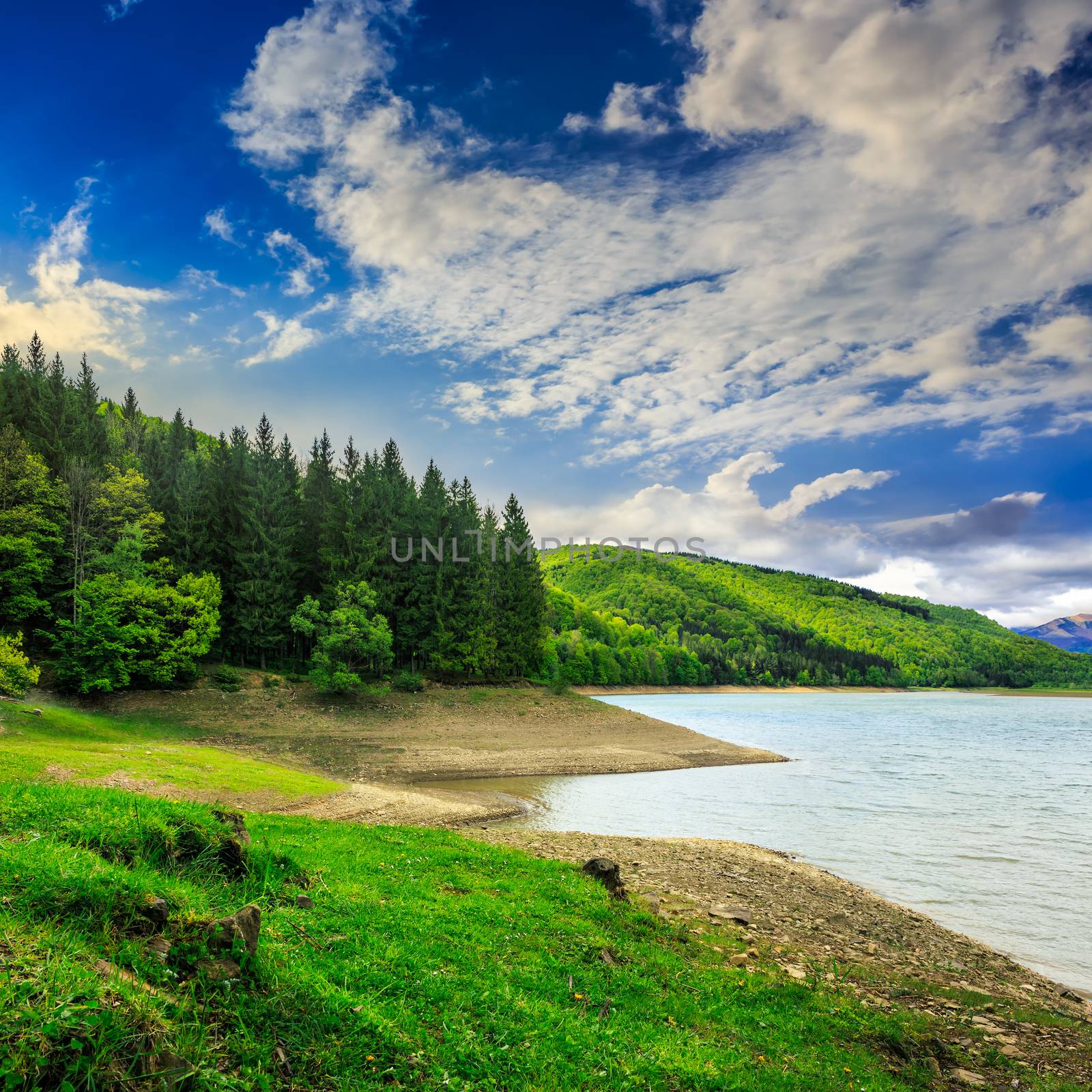 view on lake near the forest with some  pine trees early in the morning on mountain background