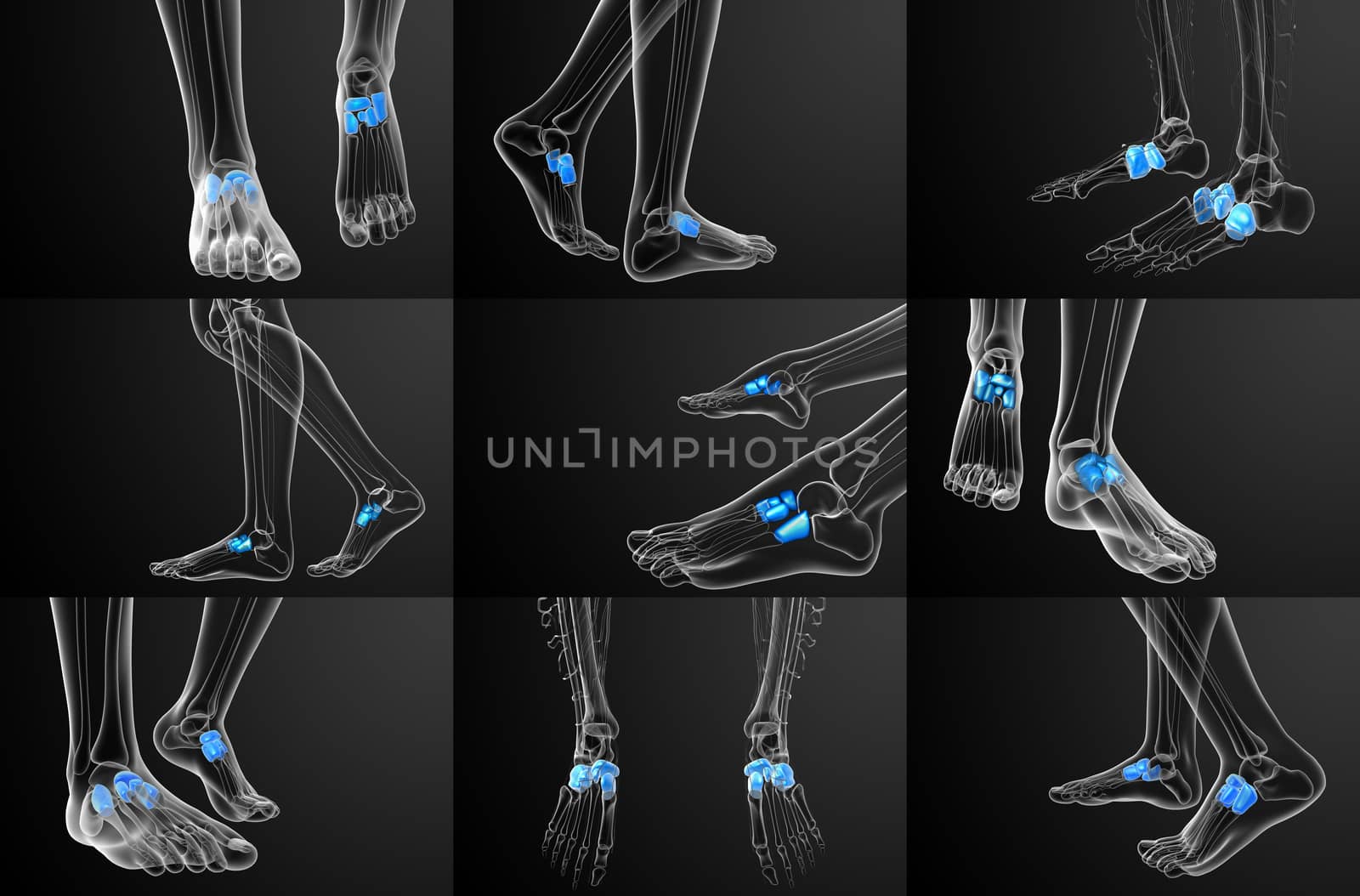 3d rendering medical illustration of the midfoot bone