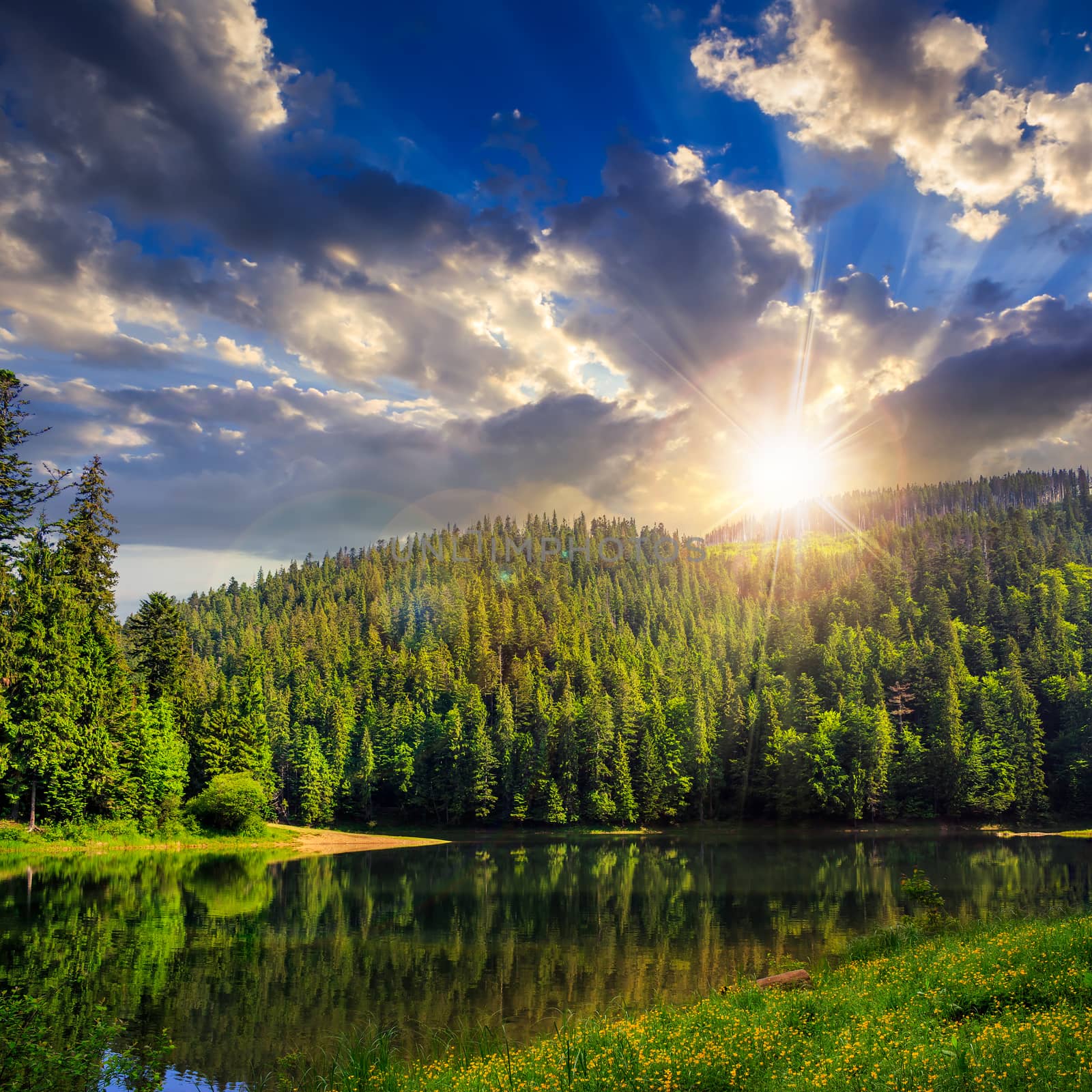 view on lake near the pine forest on mountain background at sunset