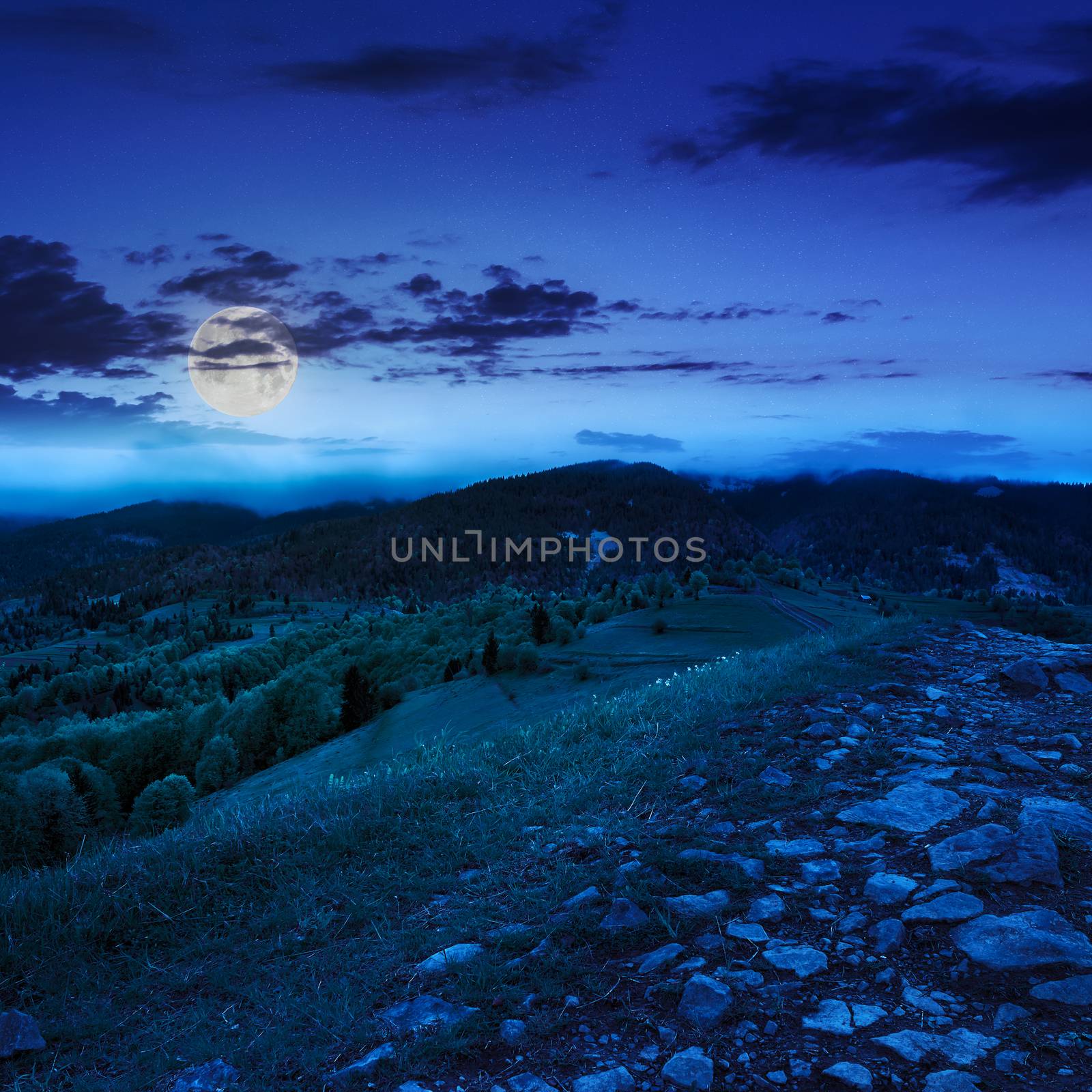 path on top of mountain meadow at night by Pellinni