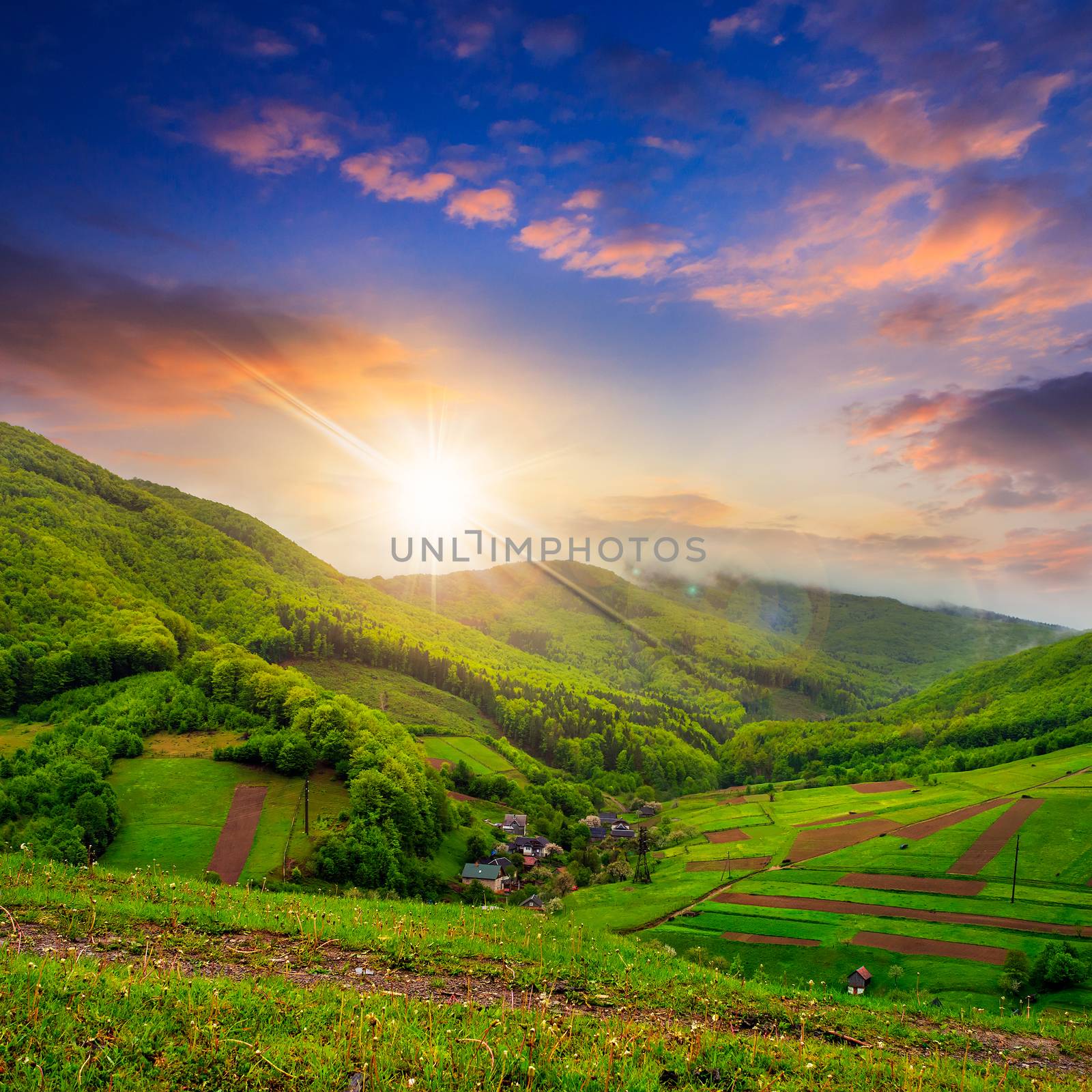 village on hillside meadow with forest at sunset by Pellinni