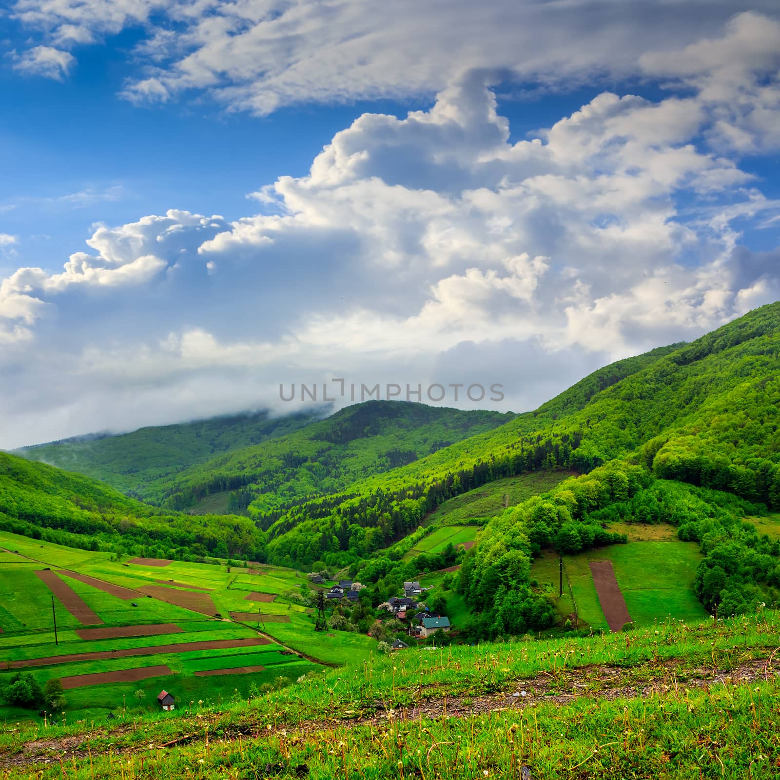 summer landscape. village on the hillside. forest in fog on the mountain top at fresh sunrise