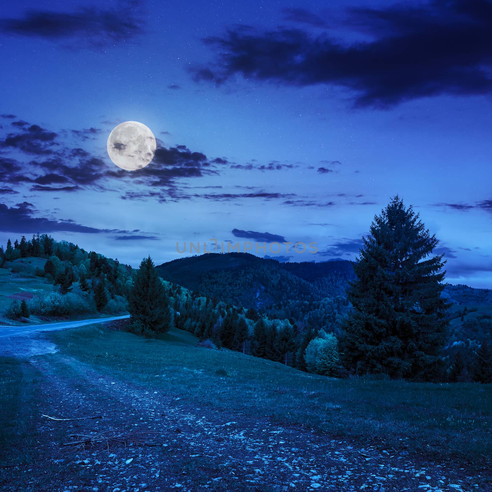 asphalt road going down the hill and up in to mountains, passes through the green shaded forest at night in moon light