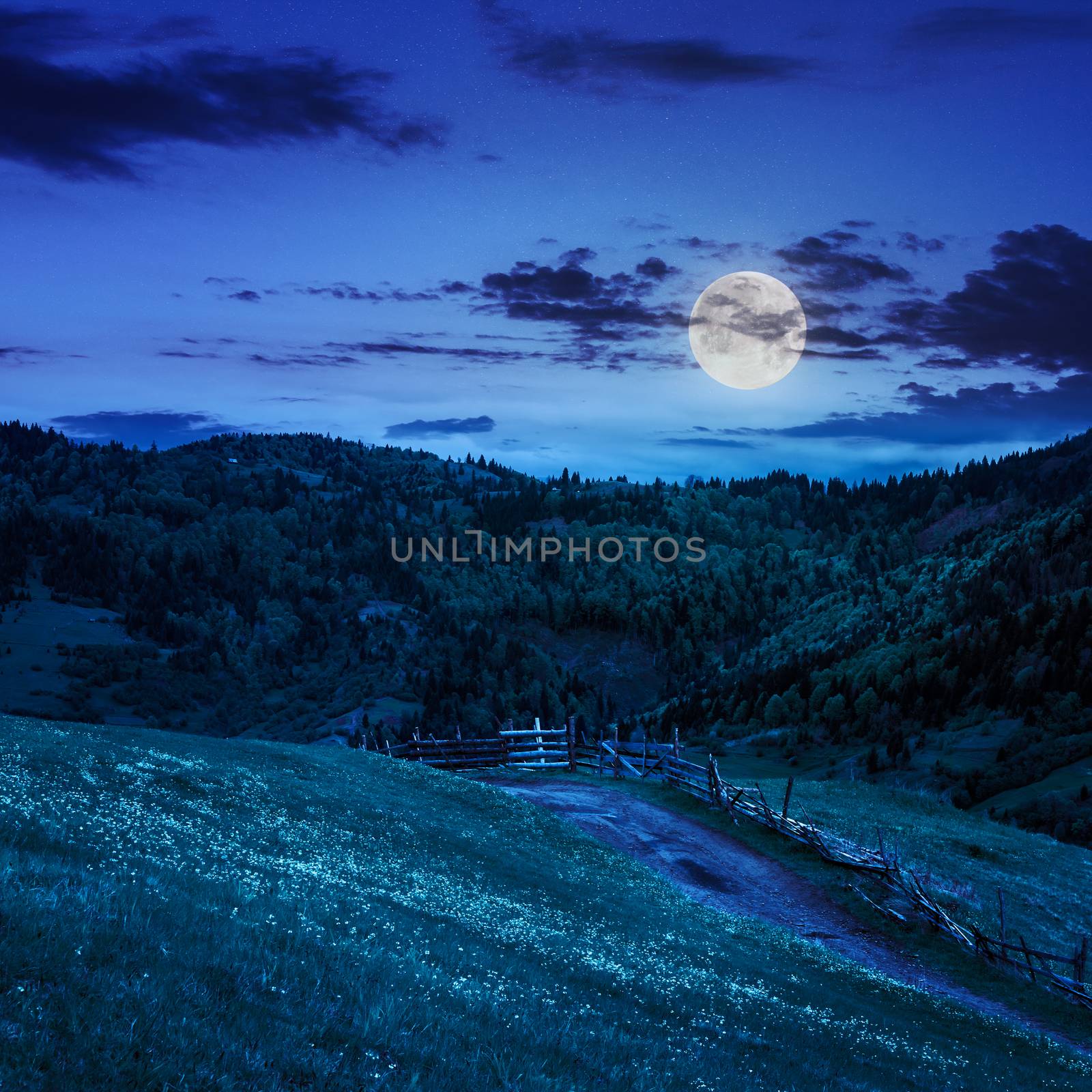 fence on hillside meadow in mountain at night by Pellinni