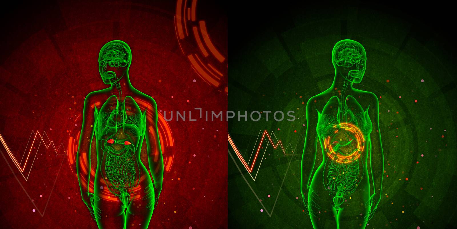 3d rendering medical illustration of the adrenal 