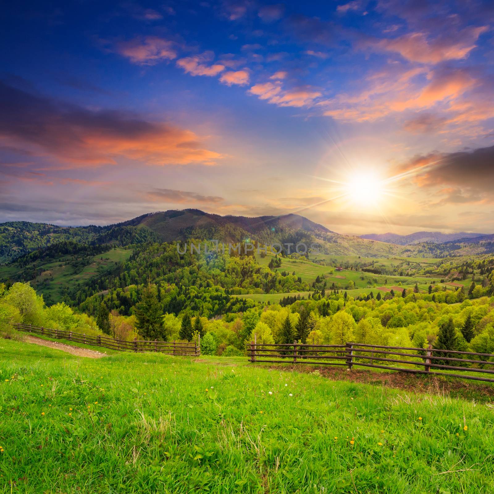 autumn landscape. fence near the meadow path on the hillside. forest in fog on the mountain at sunset