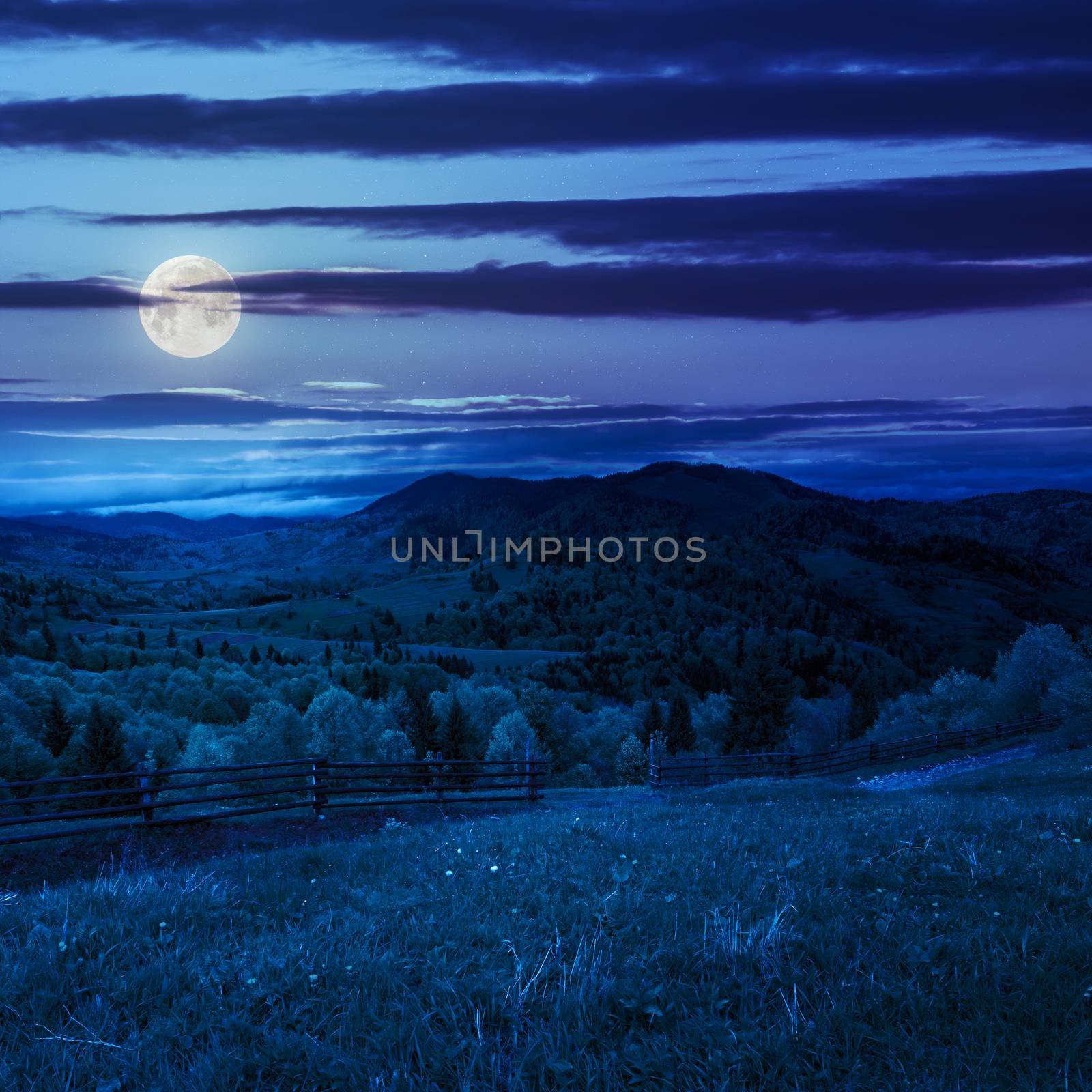 summer landscape. fence near the meadow path on the hillside. forest in fog on the mountain at night in moon light