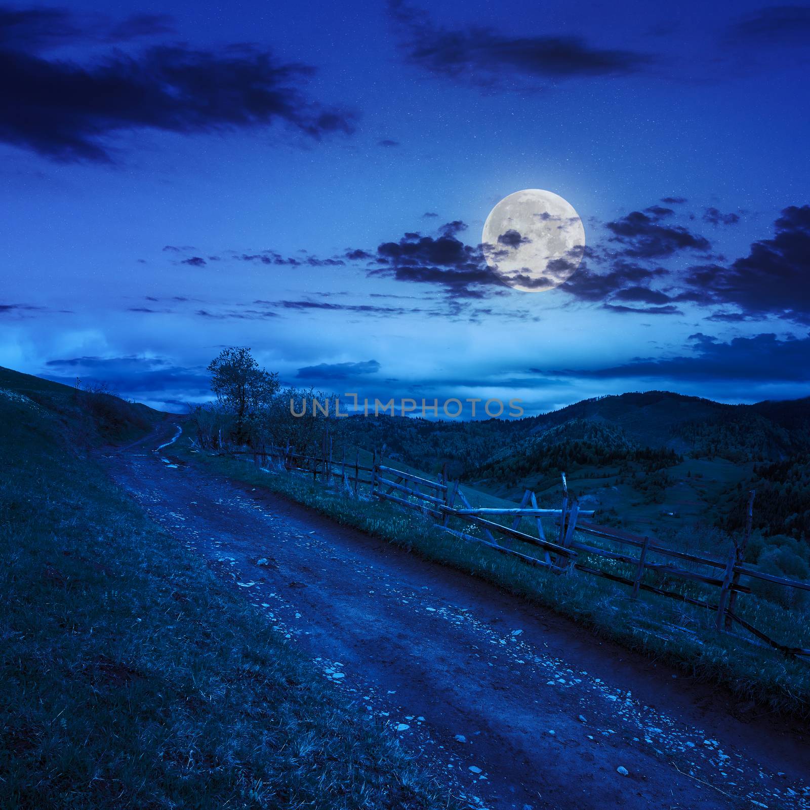 summer landscape. fence near the meadow path on the hillside. forest in fog on the mountain at night in moon light