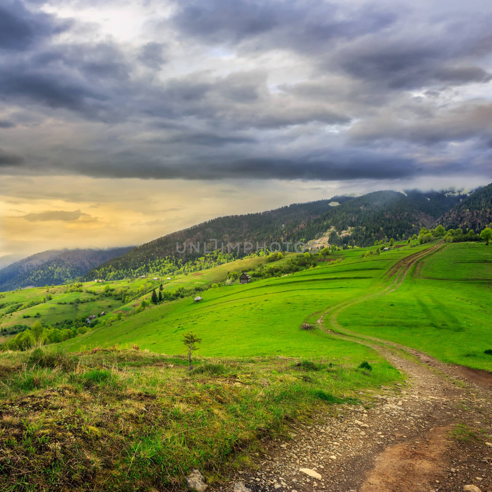 path on hillside meadow in mountain by Pellinni