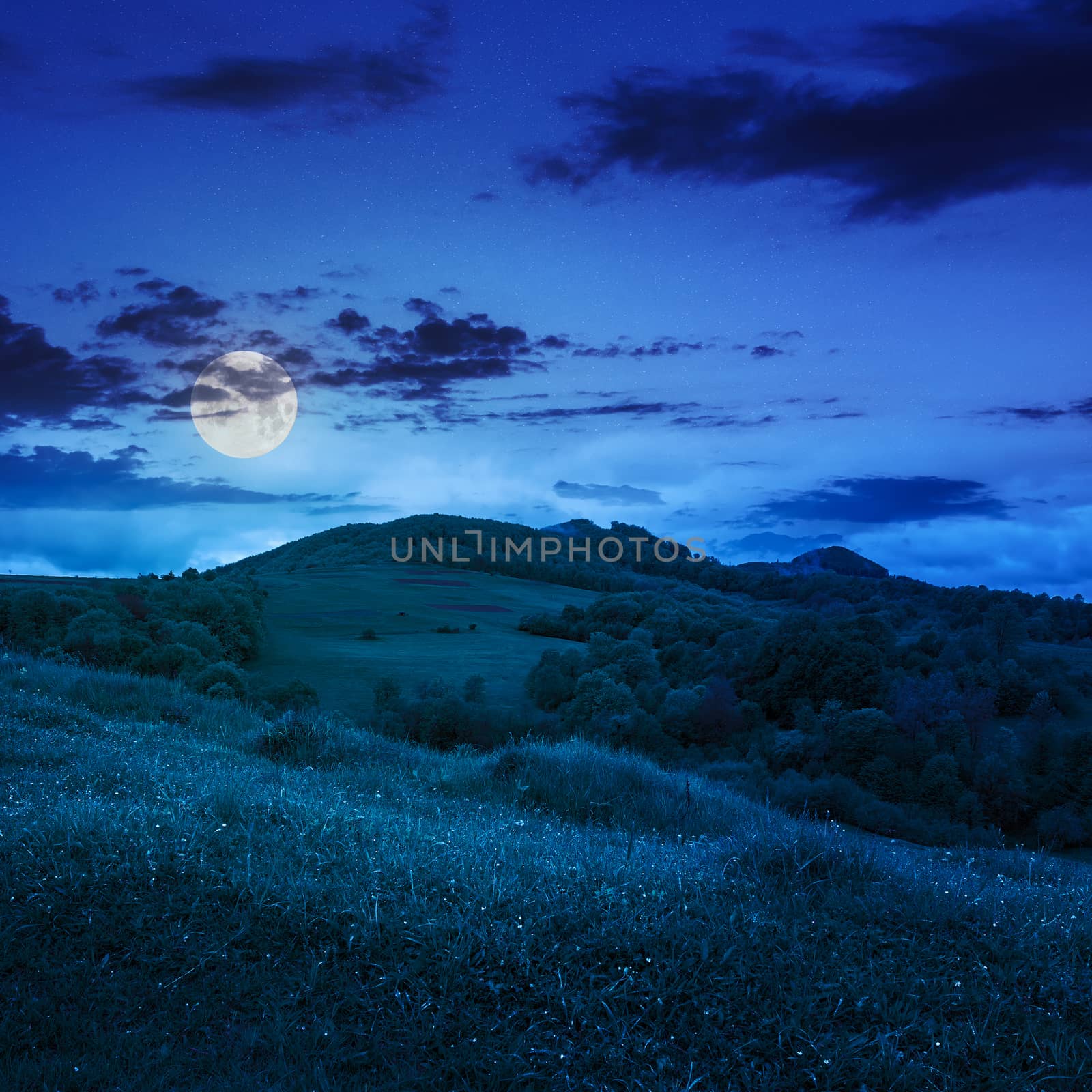 mountain summer landscape. trees near meadow and forest on hillside under  sky with clouds at night in moon light