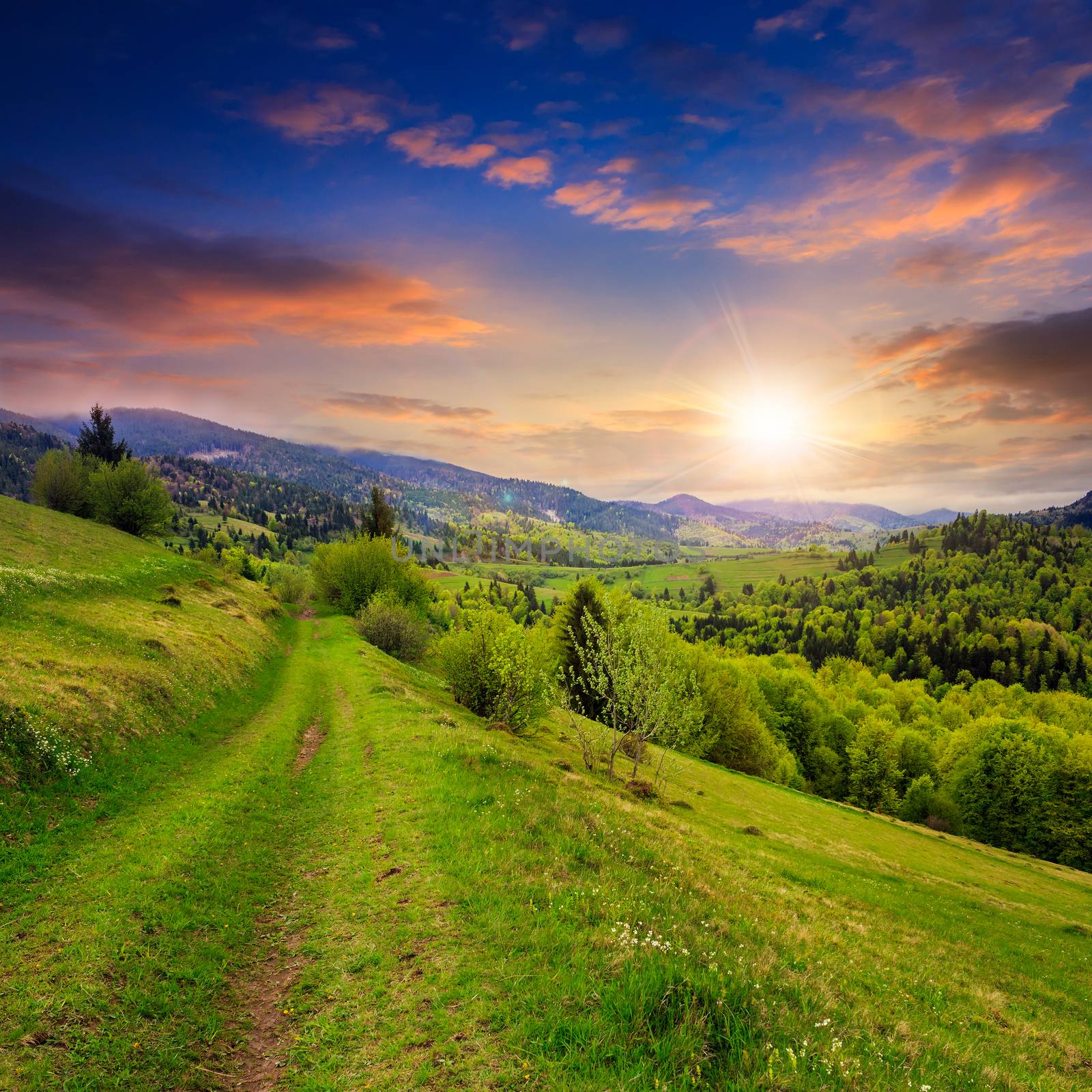 summer landscape. meadow path on the hillside. forest in fog on the mountain at sunset