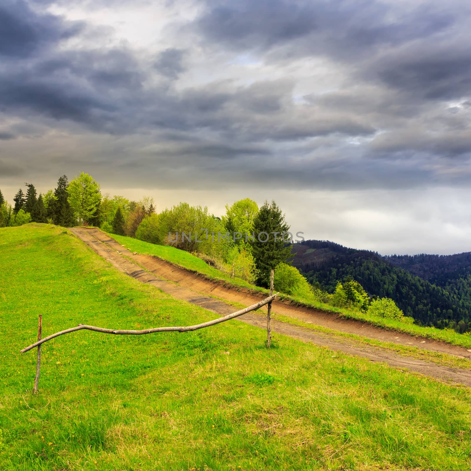 summer landscape. fence near the meadow path going up on the hillside. forest in fog on the mountain on dull cloudy day