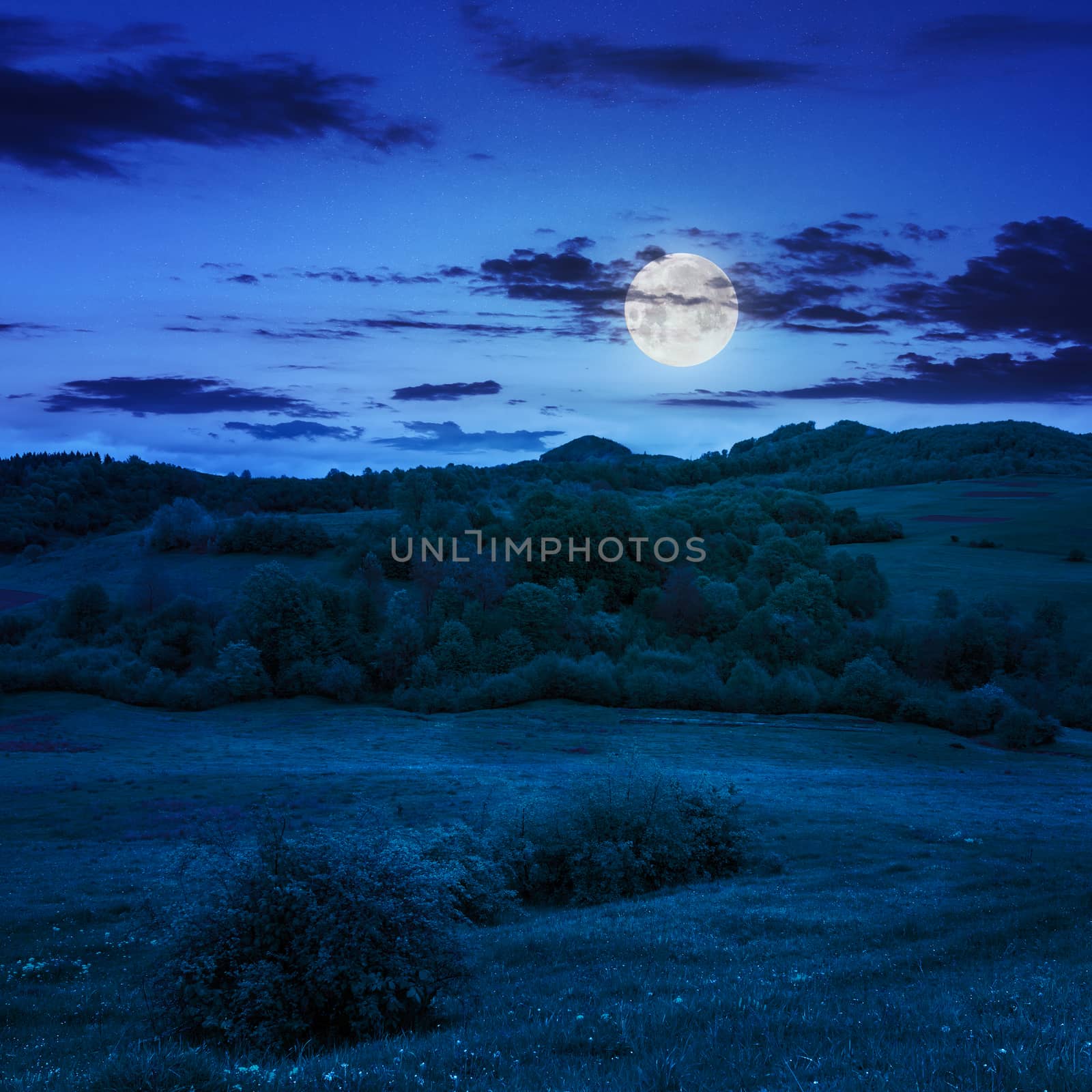 mountain summer landscape.forest near meadow on hillside under  cloudy sky at night in moon light