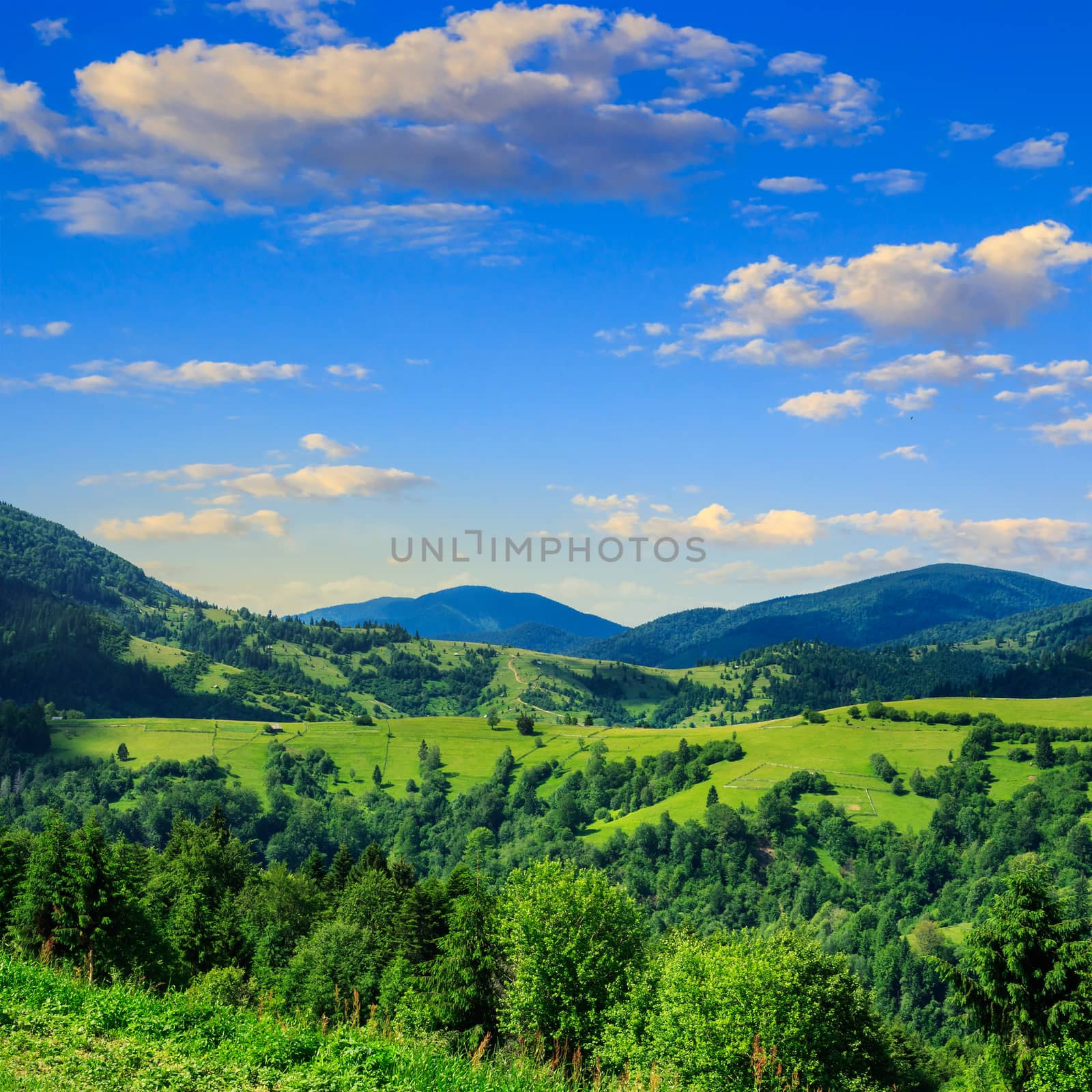 summer landscape. village on the hillside. forest on the mountain light fall on clearing on mountains