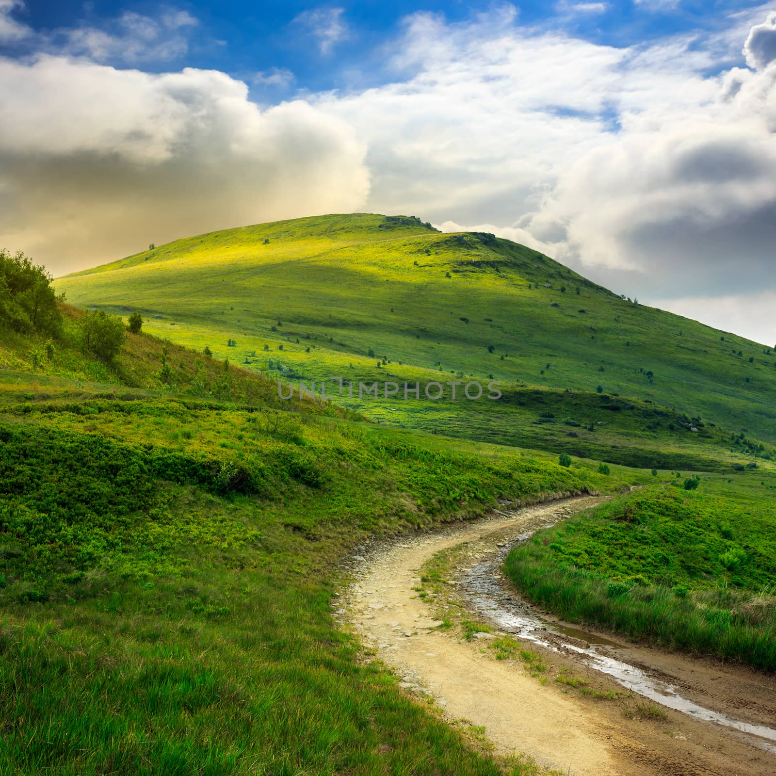 summer landscape. mountain path through the field turns uphill to the sky