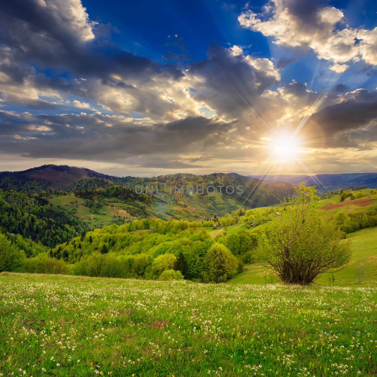 village on hillside meadow in mountain at sunset by Pellinni