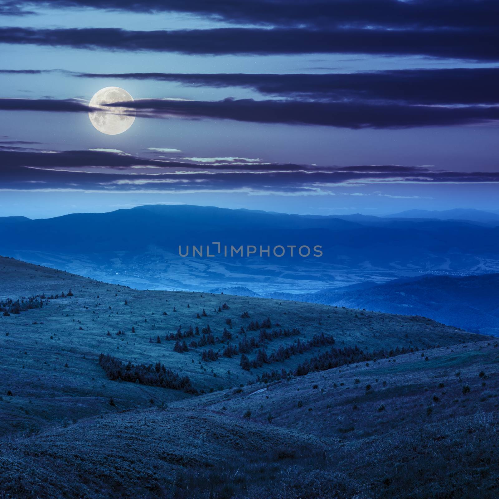 slope of mountain range with coniferous forest at night in moon light