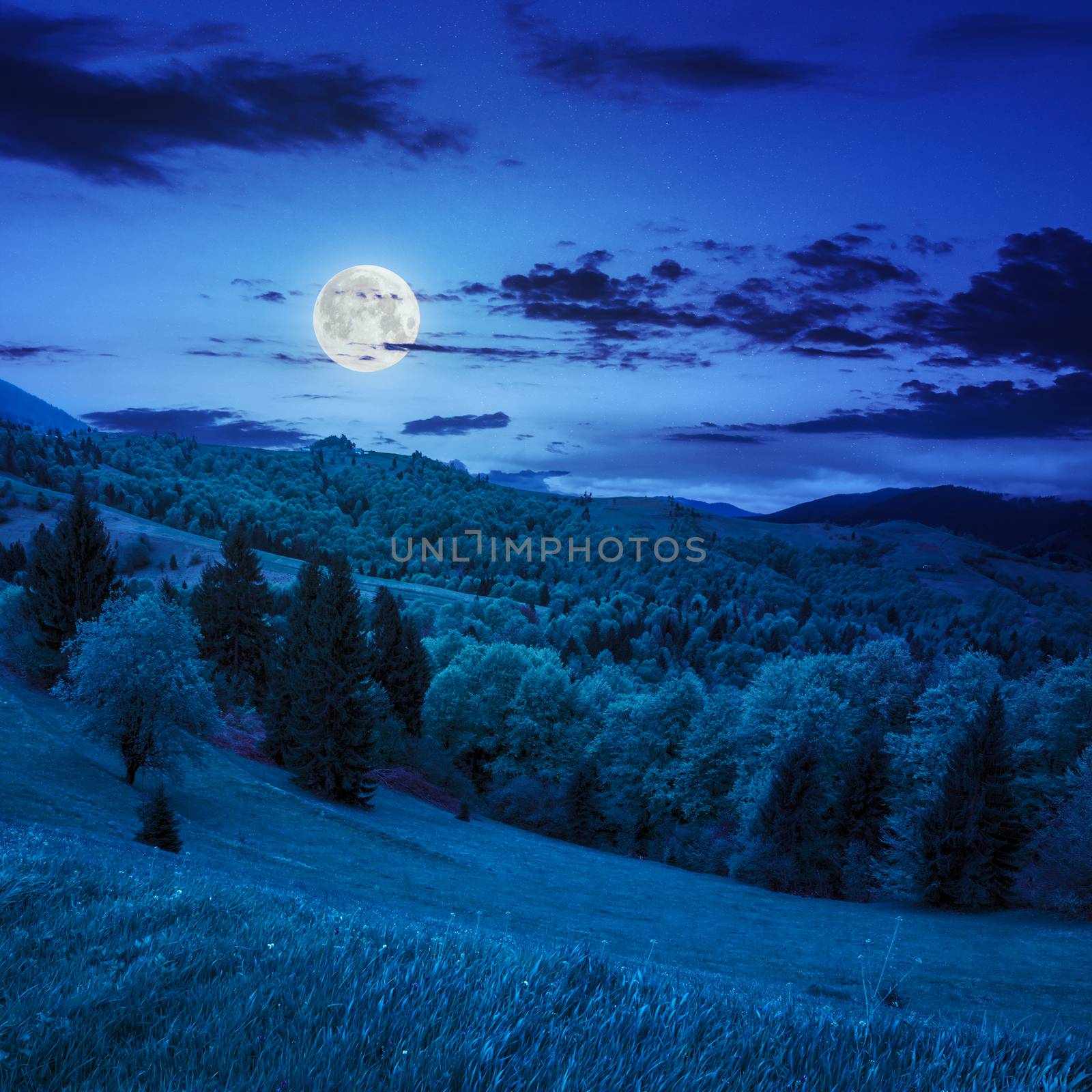 slope of mountain range with coniferous forest and village at night in moon light