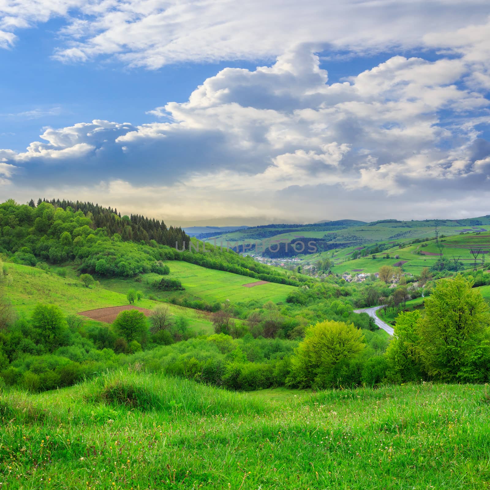 village on hillside meadow with forest by Pellinni