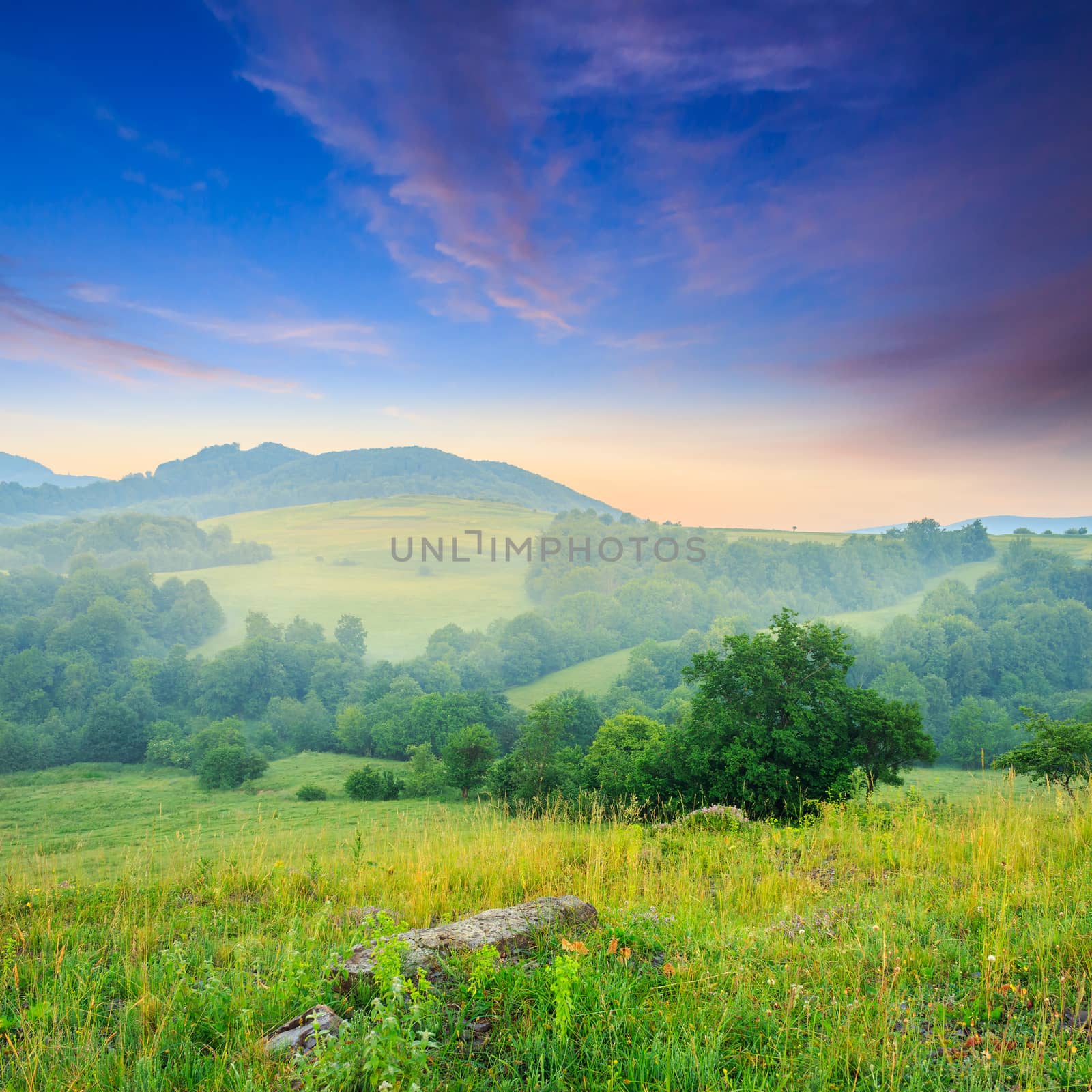 cold summer morning fog in mountain meadow in the morning