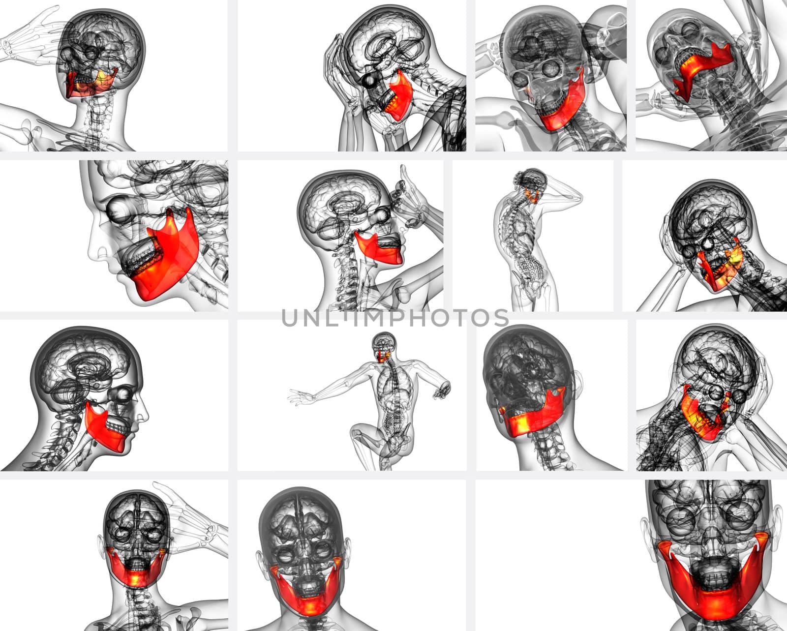 3d rendering illustration of jaw bone