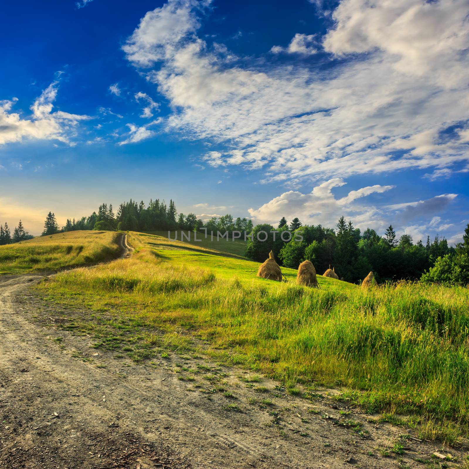 field near home at sunrise by Pellinni