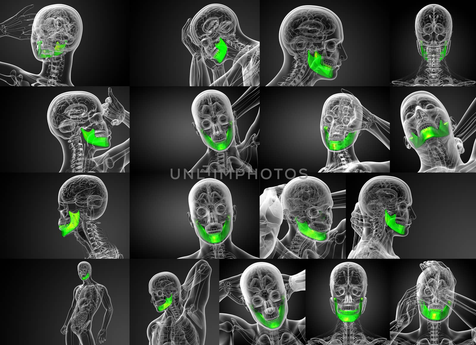 3d rendering illustration of jaw bone