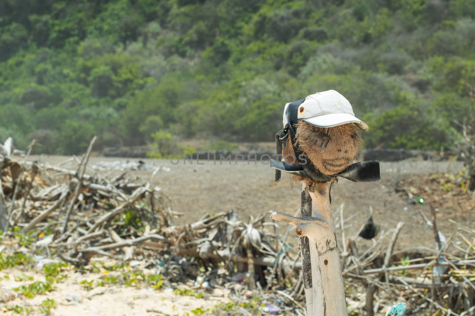 Field Scarecrow in Ubud, Bali, Indonesia.