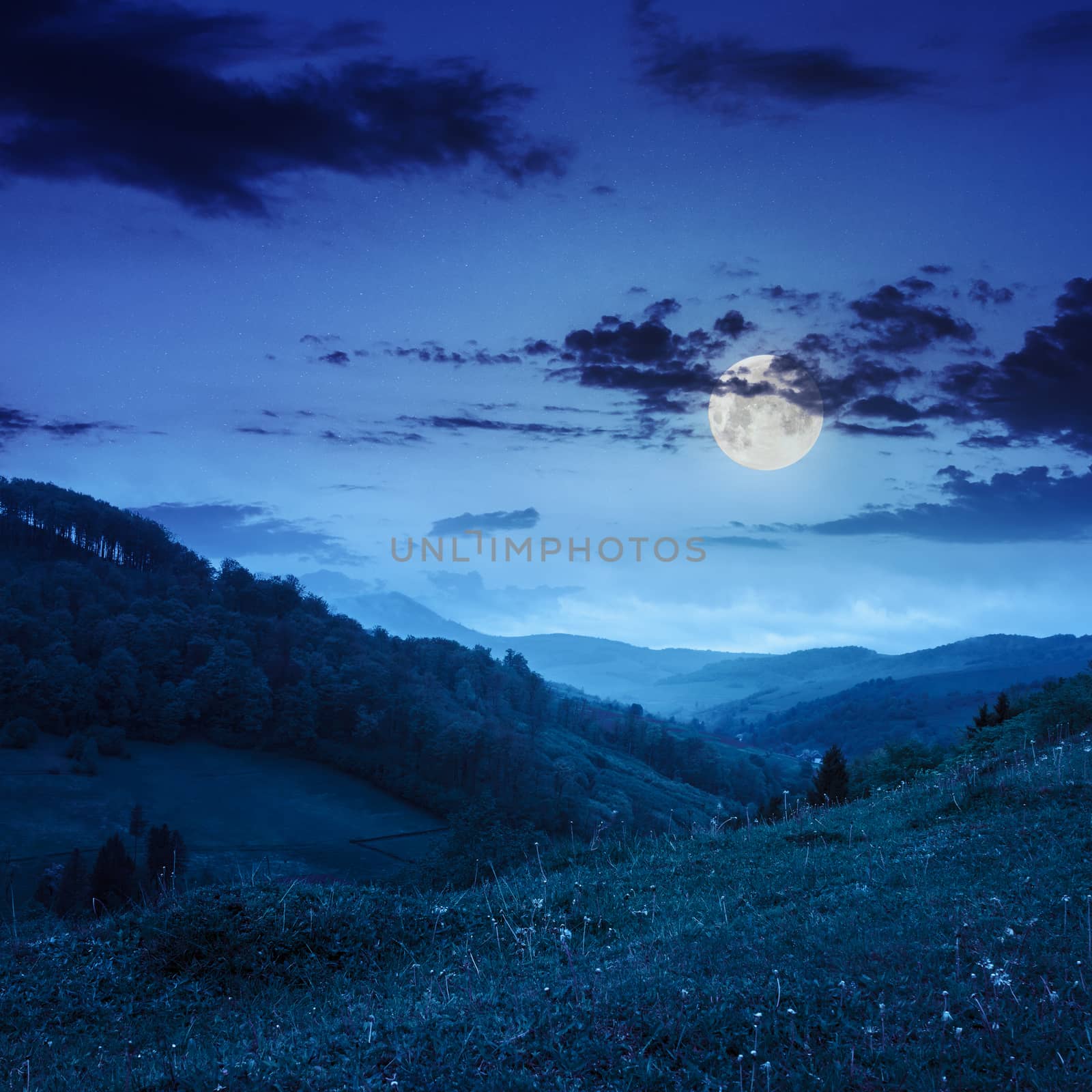 cold morning fog on meadow and forest in the mountains at night in moon light