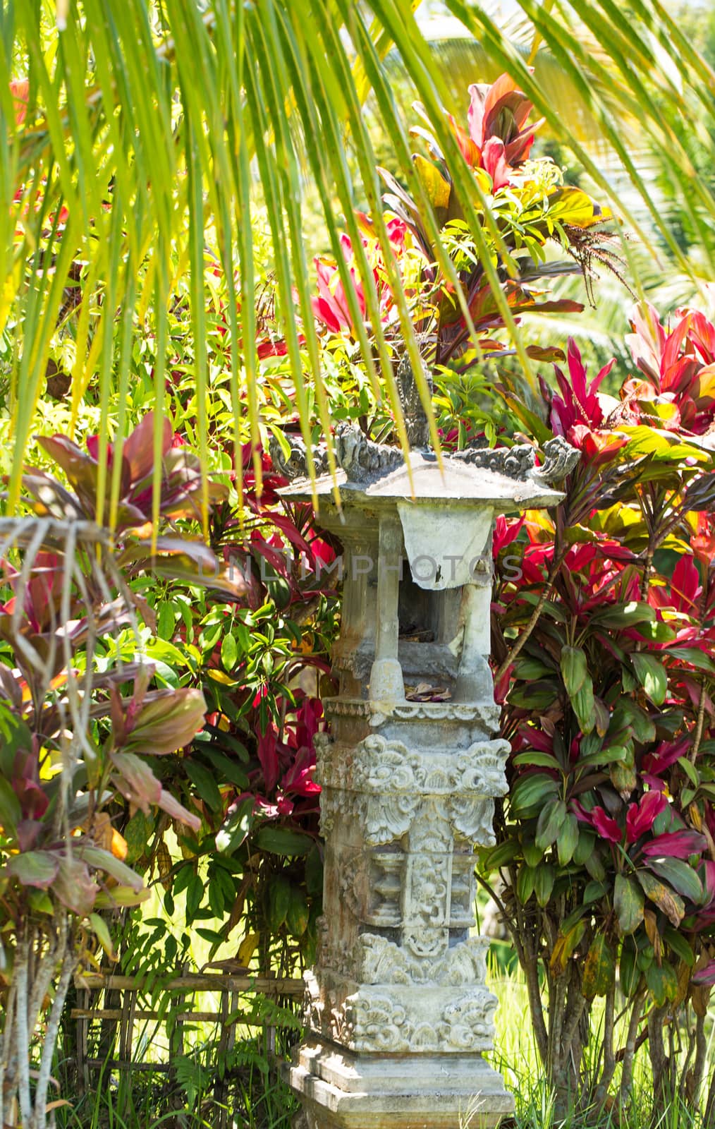 Beautiful tropical bali garden