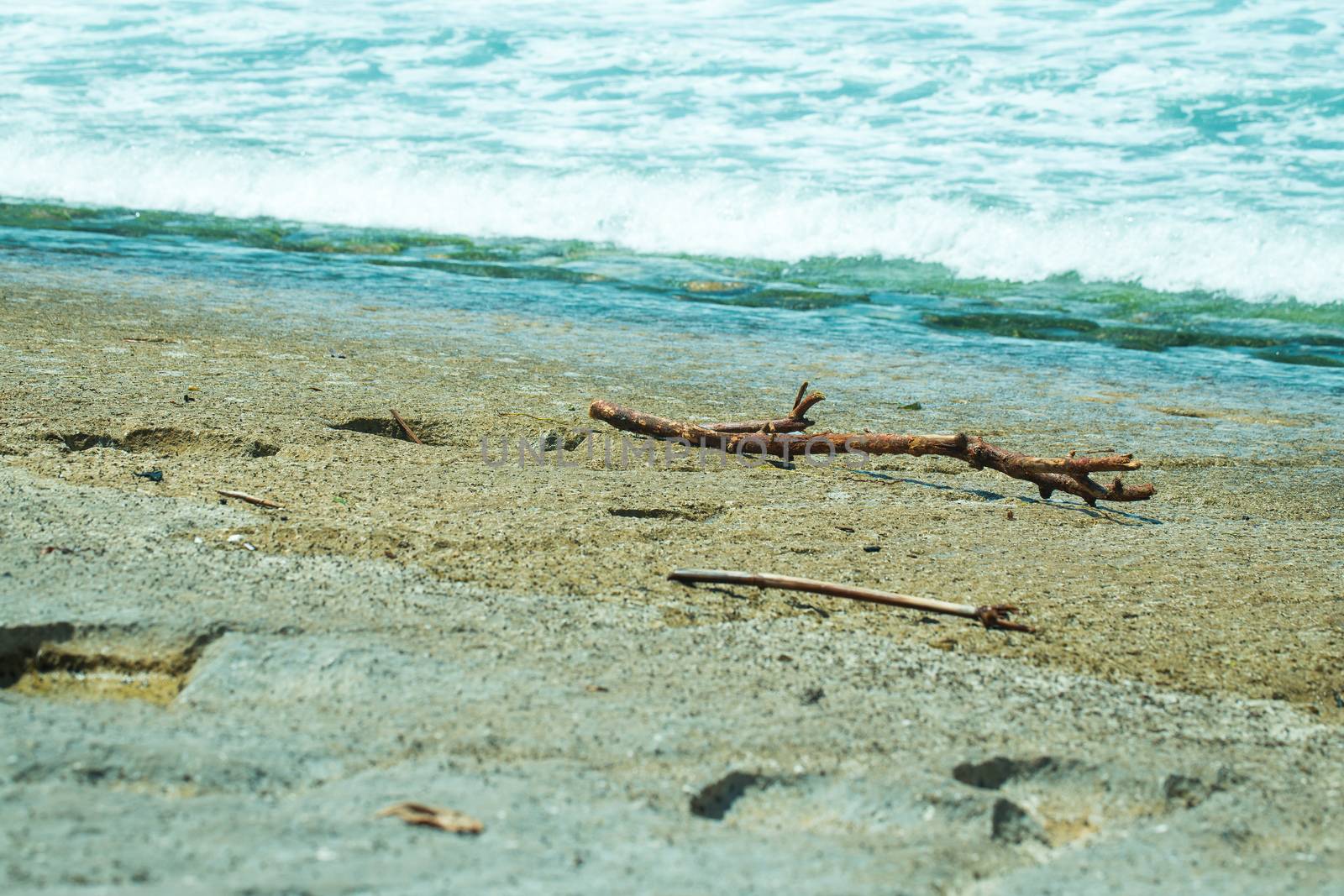 Sea water, waves, sand and stones, sea foam, sticks, stuck on the beach