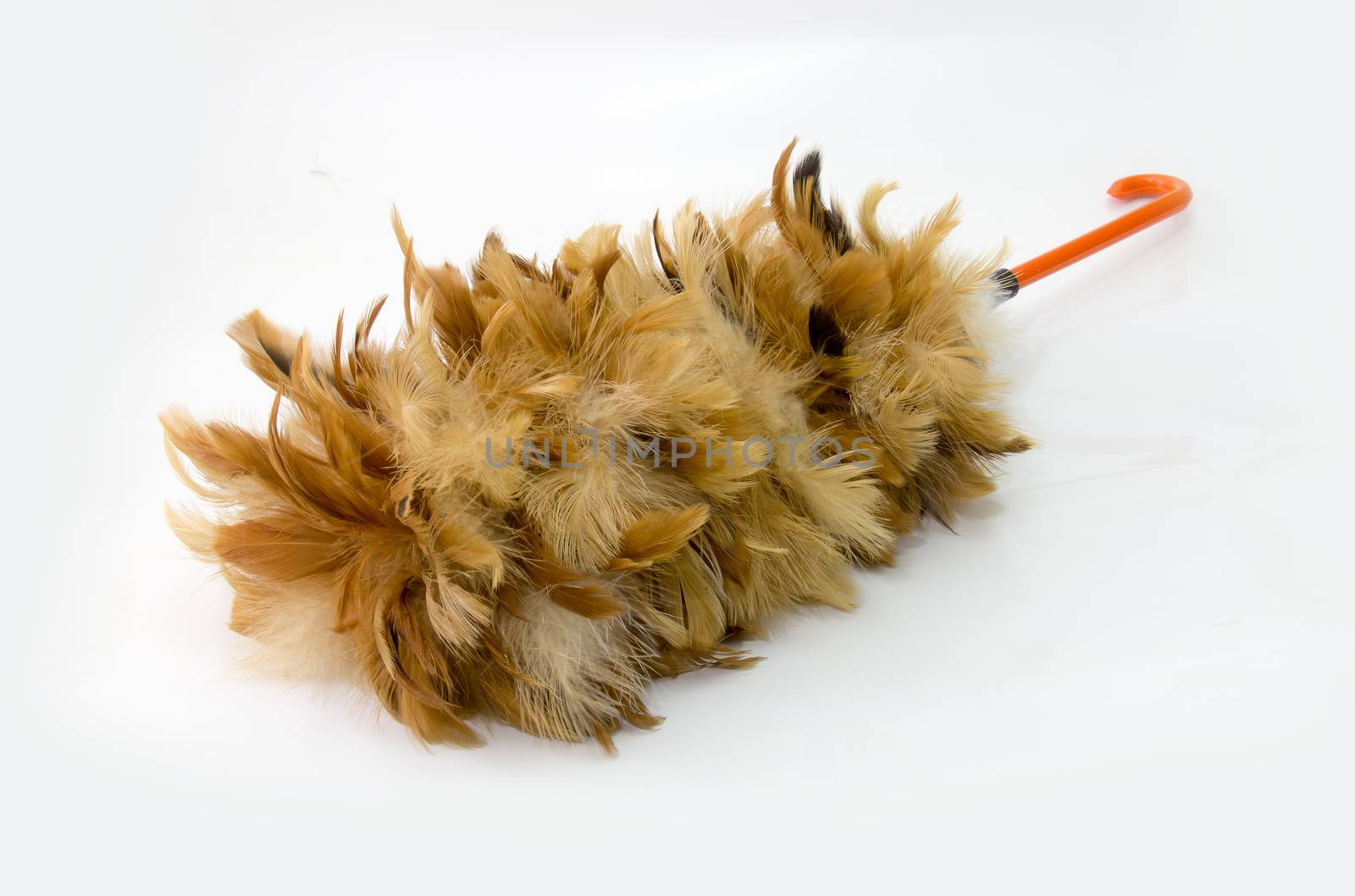 feather duster, feather broom isolated on white by chingraph