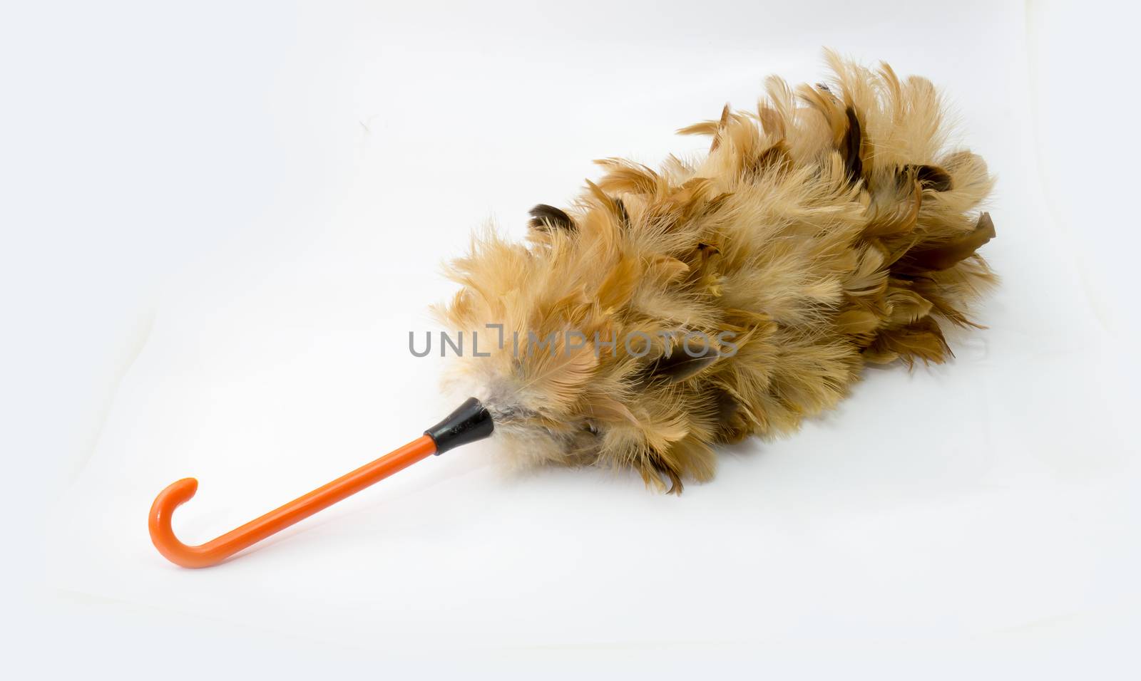 feather duster, feather broom isolated on white