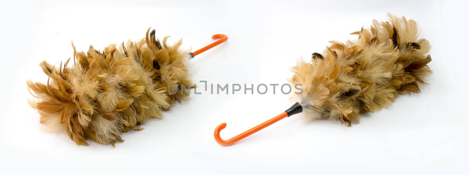 feather duster, feather broom isolated on white