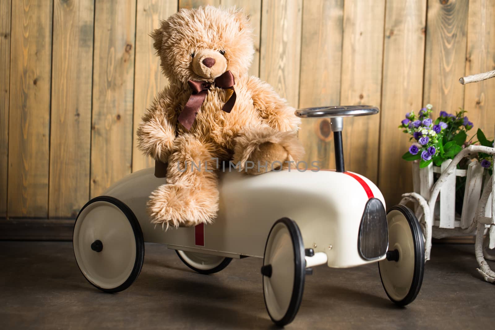 Teddy bear sitting on white toy car