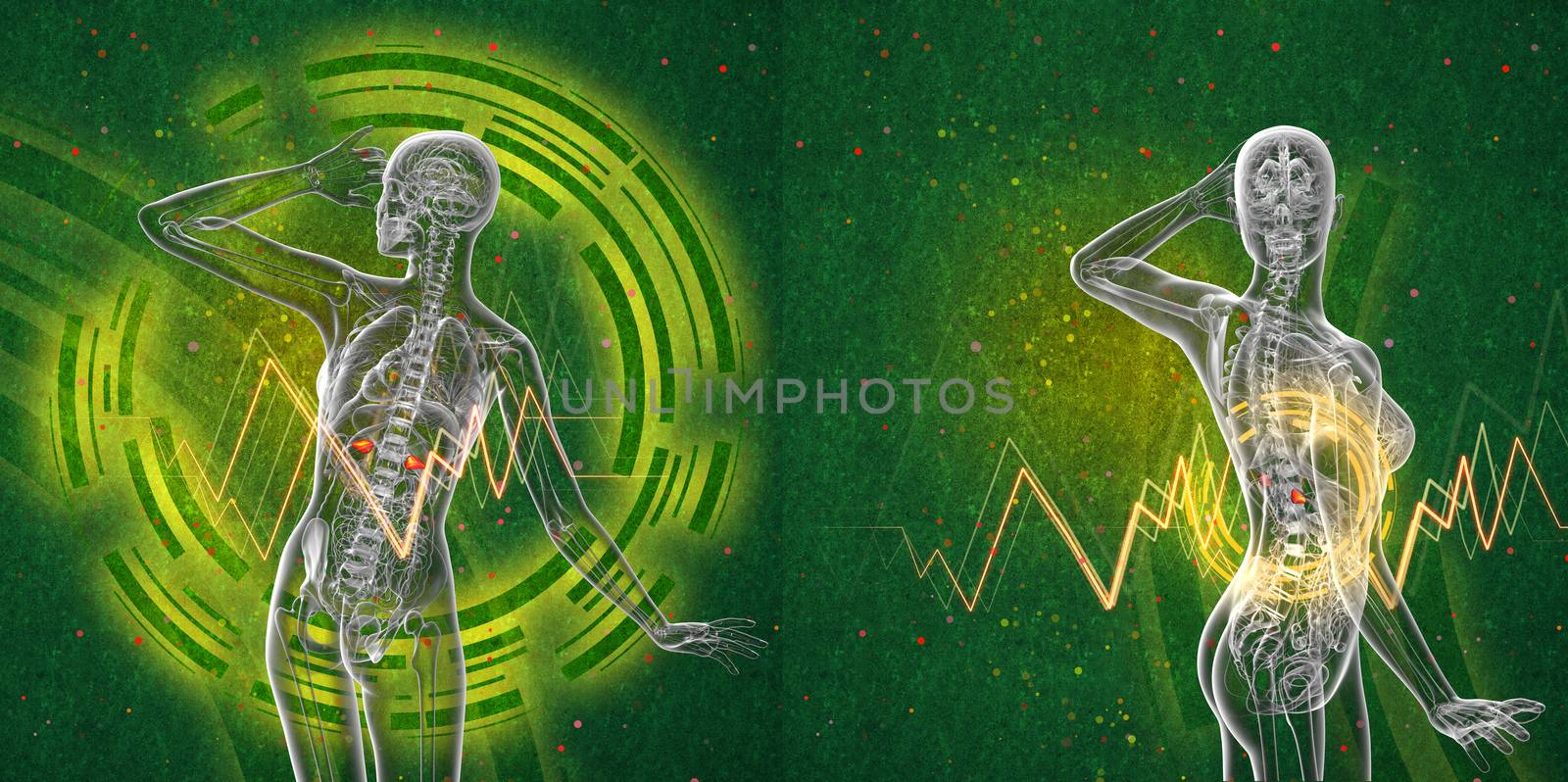 3d rendering medical illustration of the human adrenal glands 