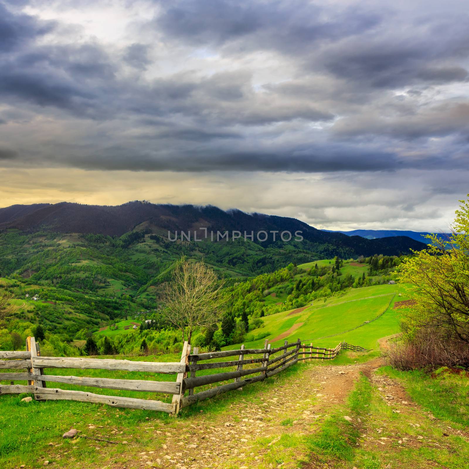 fence on hillside meadow in mountain by Pellinni