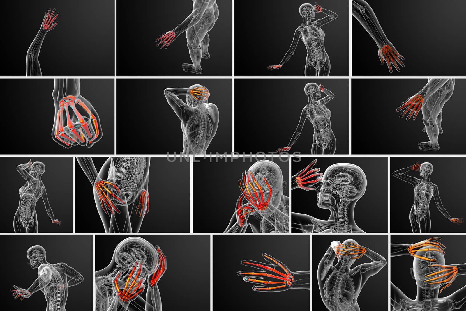 3d rendering illustration of the skeleton hand