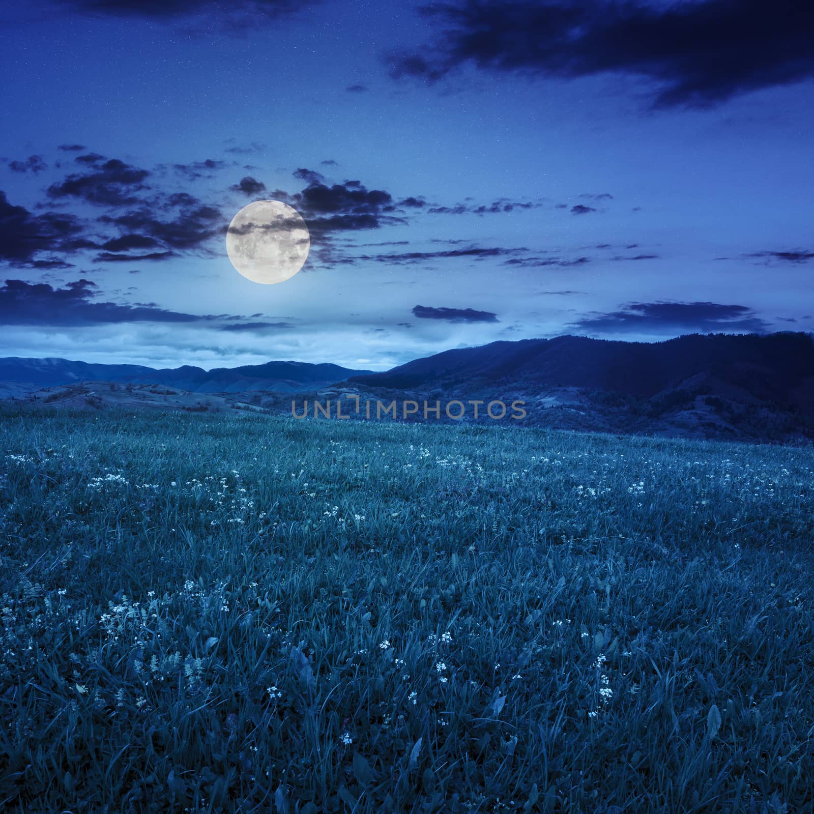 mountain summer landscape. meadow on hillside at night in moon light