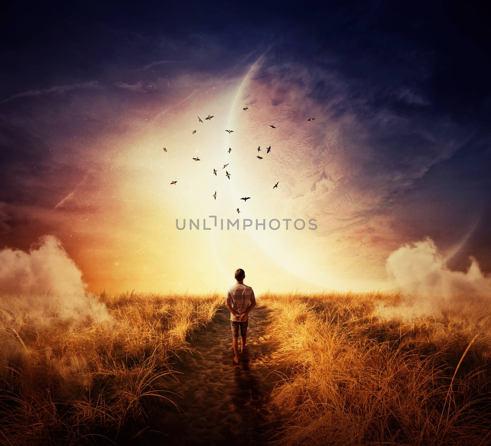 Boy walking on a cpathway with a relax mood, following a group of birds on the space horizon. Way of life concept