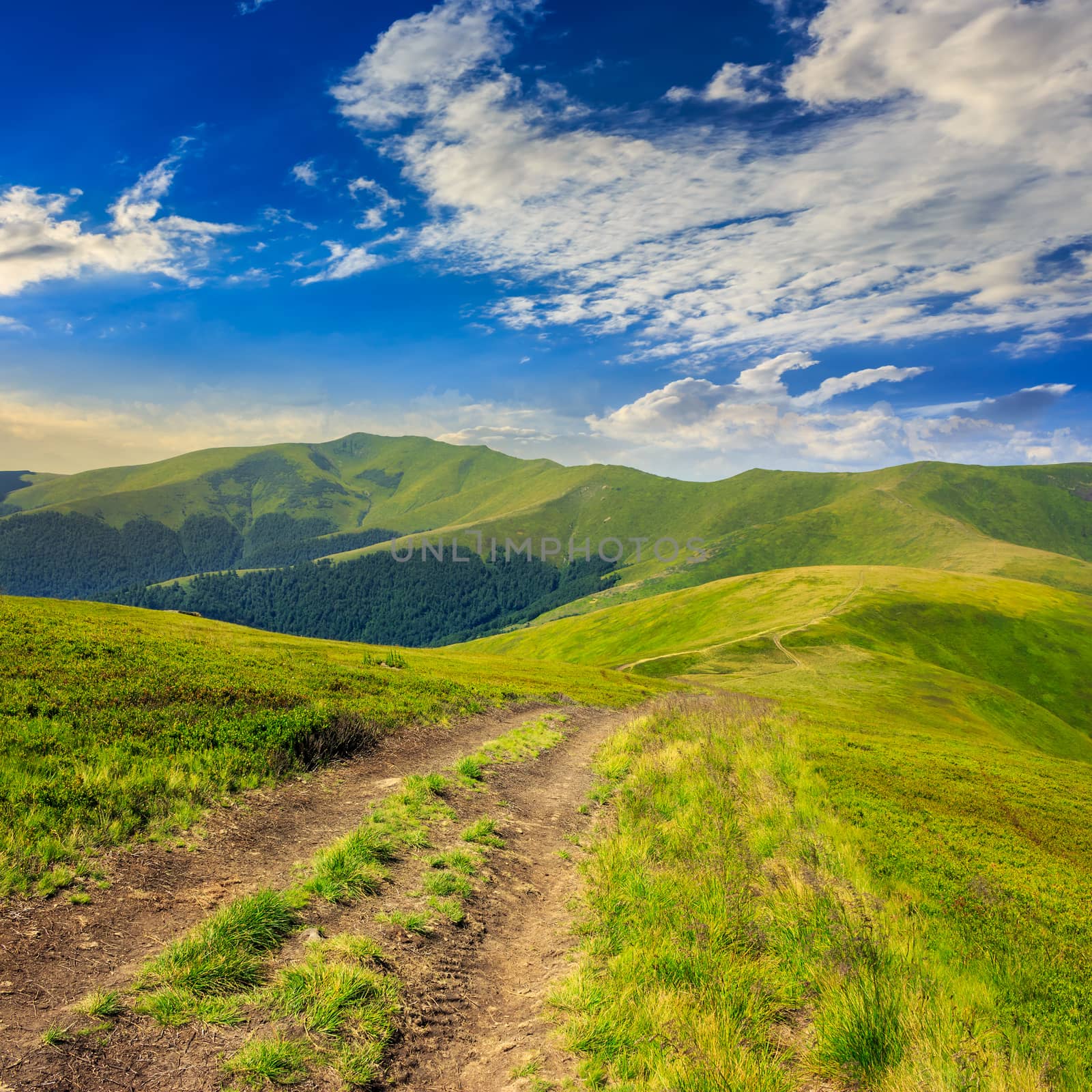 wide trail near the lawn in high mountains