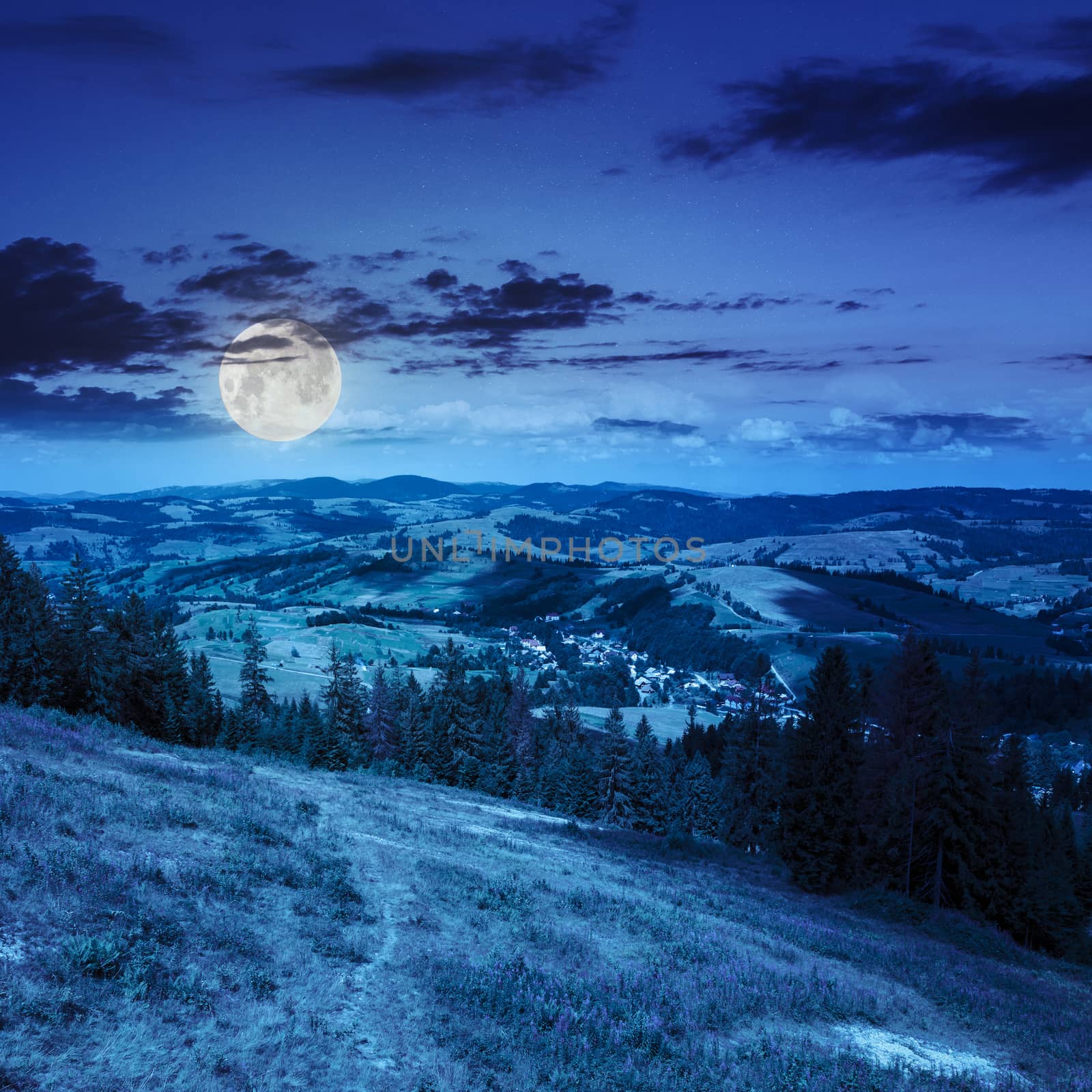 mountain summer landscape. pine trees near meadow and forest on hillside under  sky with clouds at night in full moon light