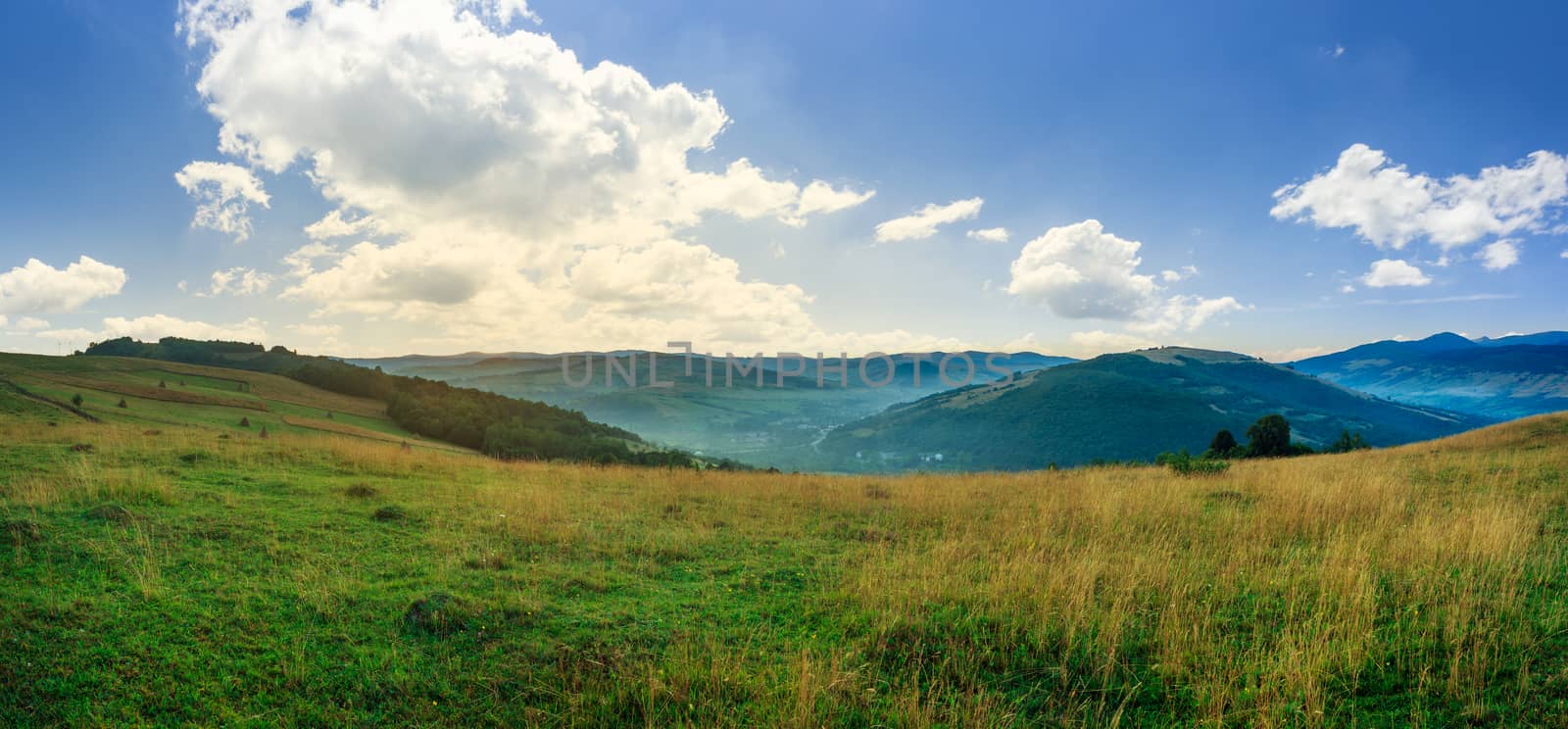 mountain summer landscape.trees near meadow on hillside under  sky with clouds at sunrise