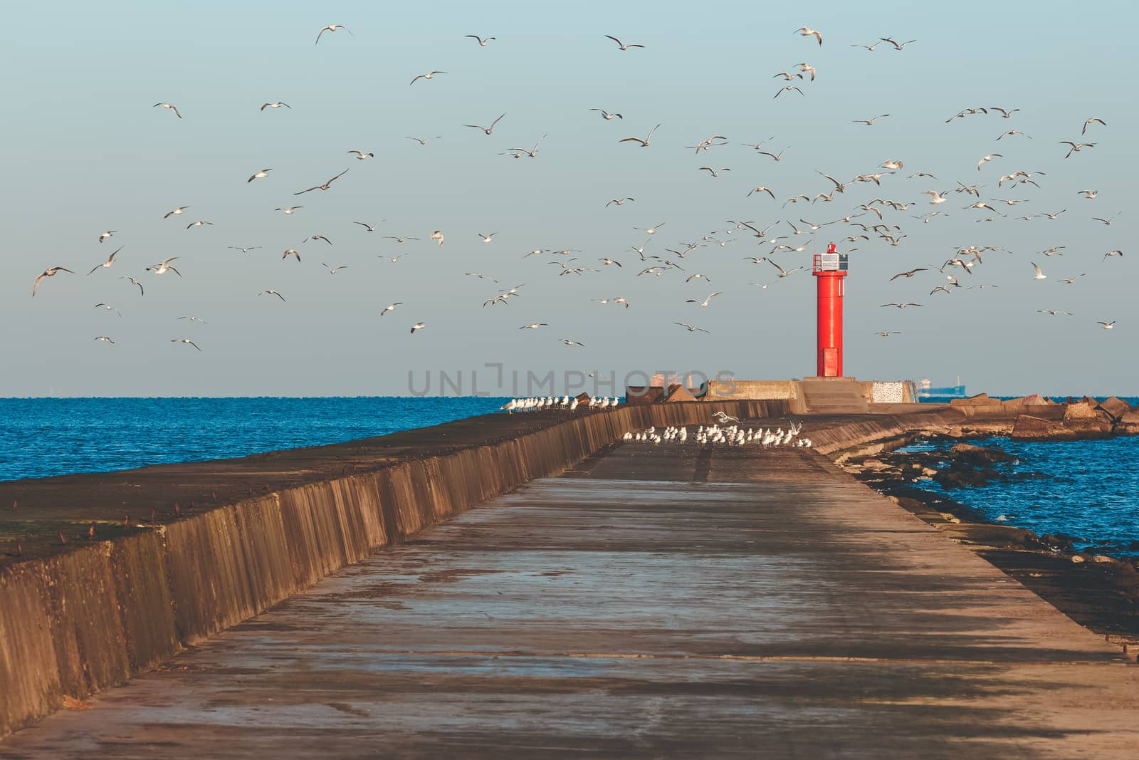 White seagulls flying against the red lighthouse